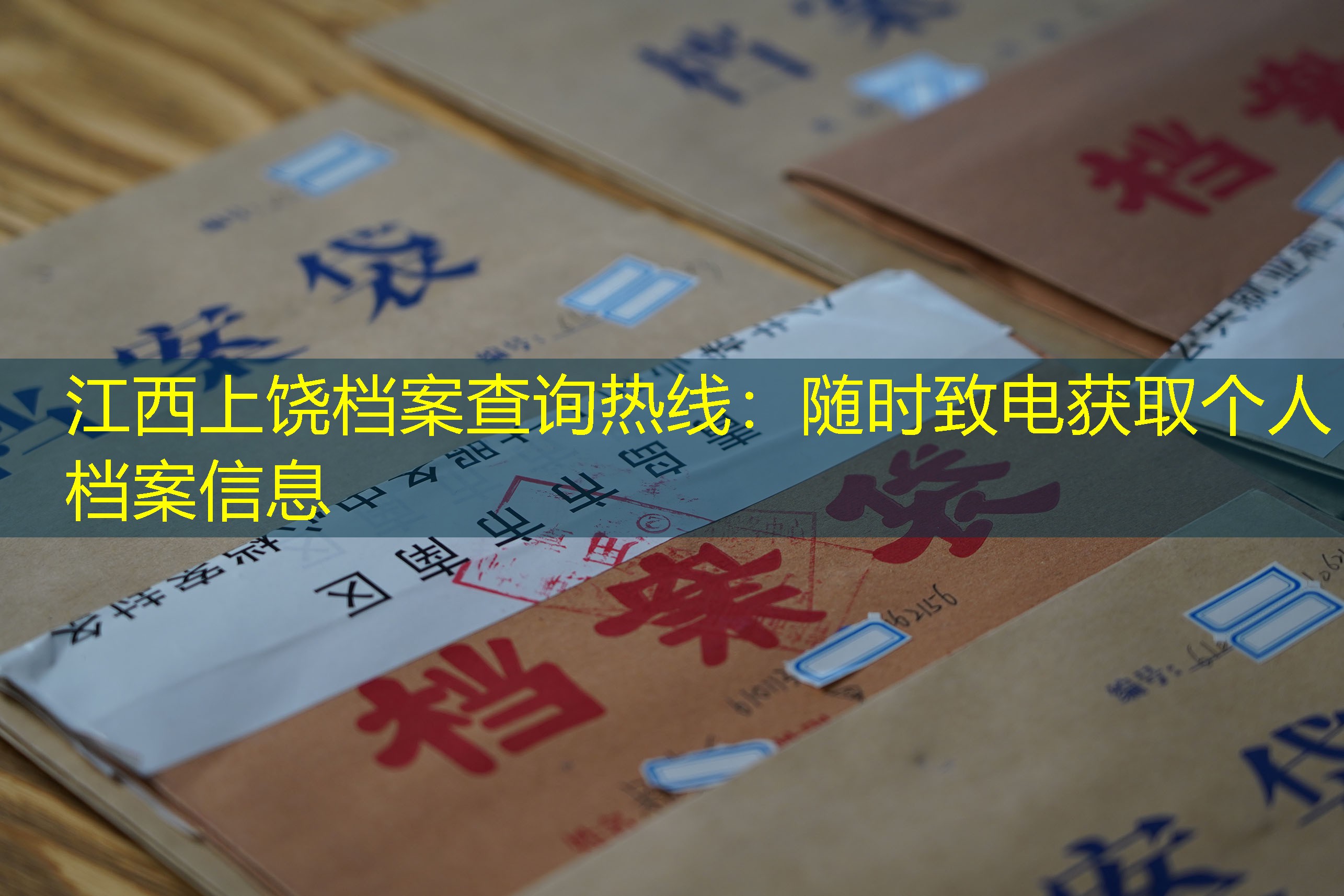 档案查询