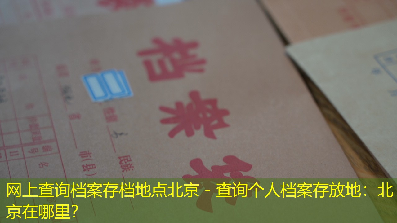 档案查询