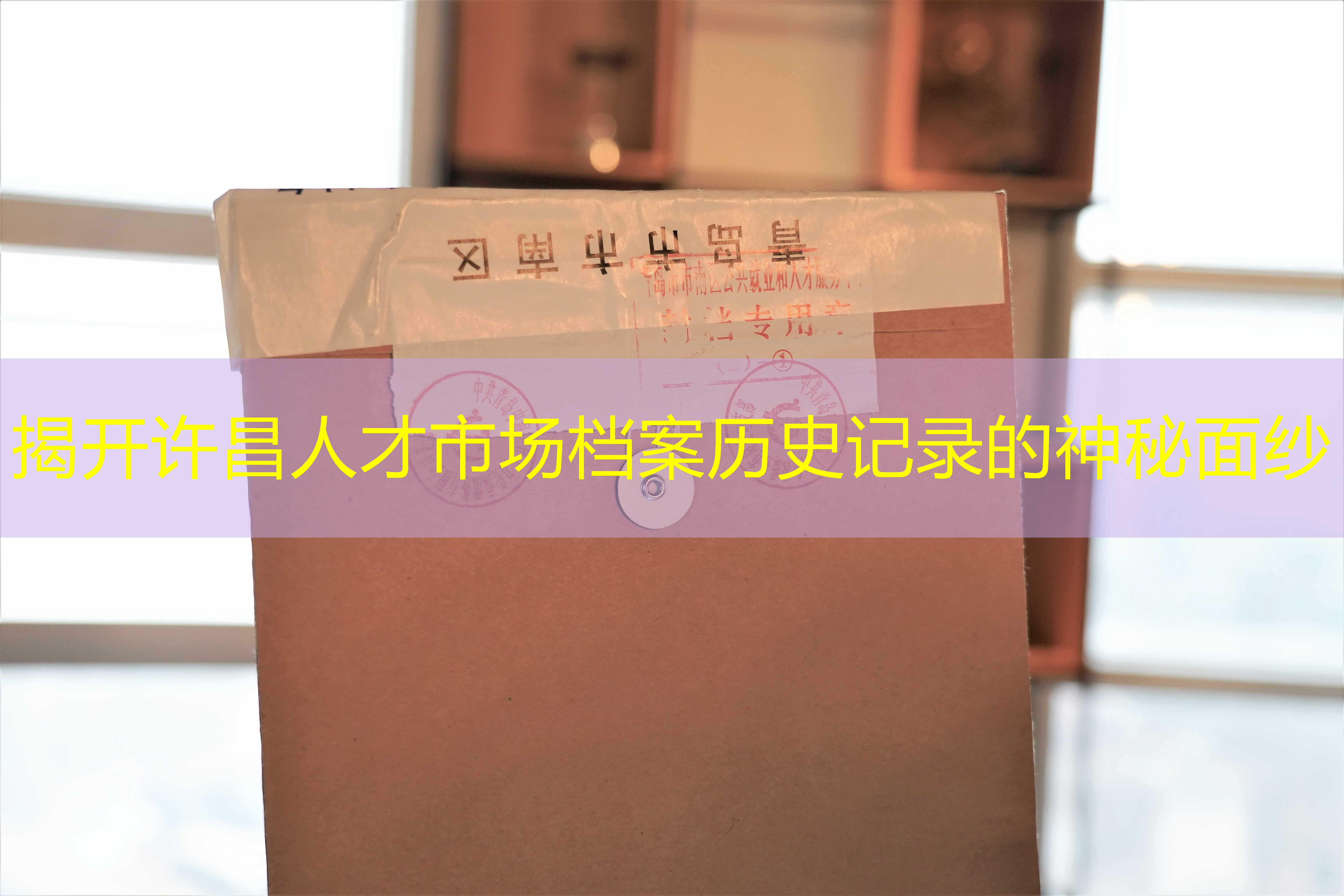 档案查询