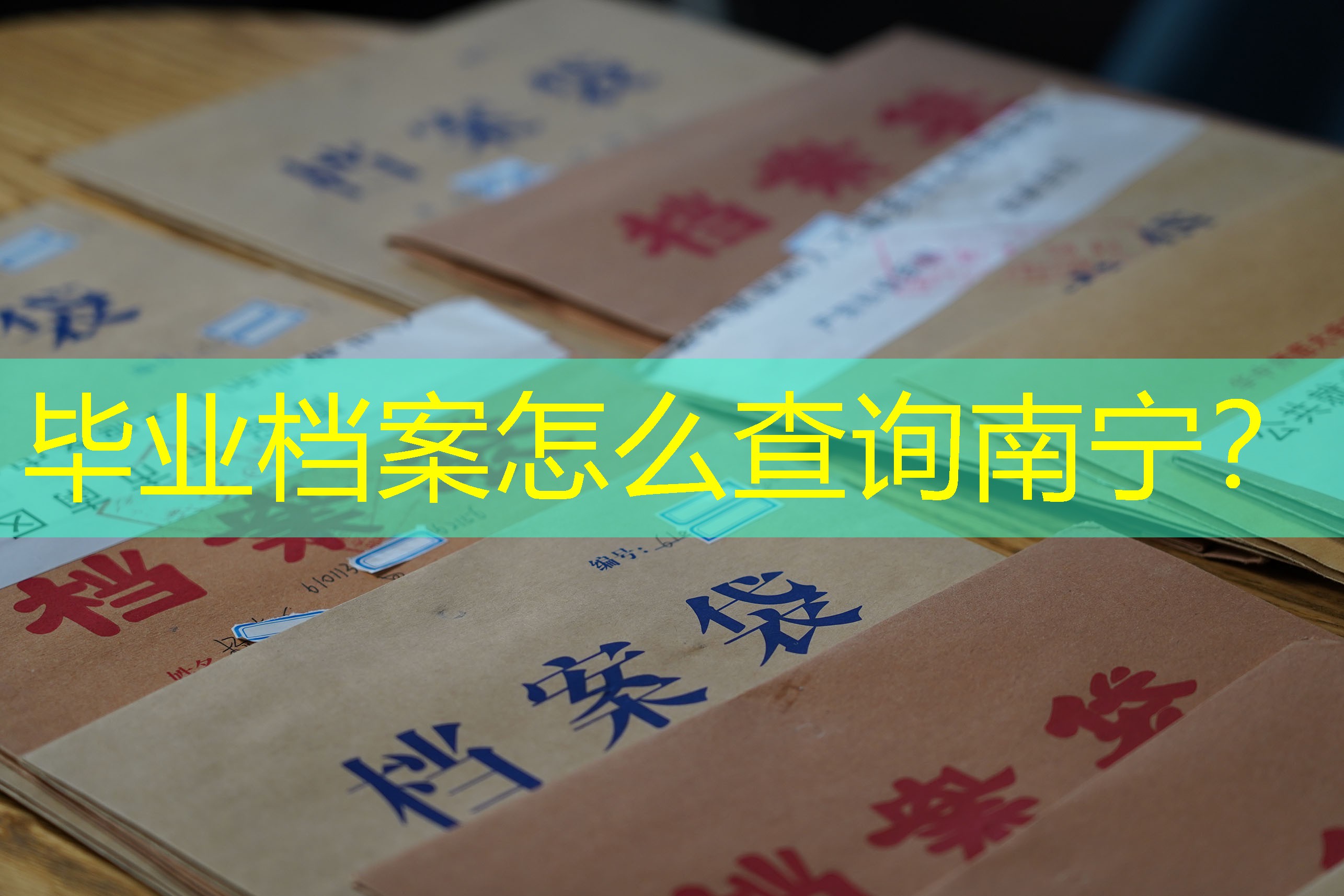 档案查询
