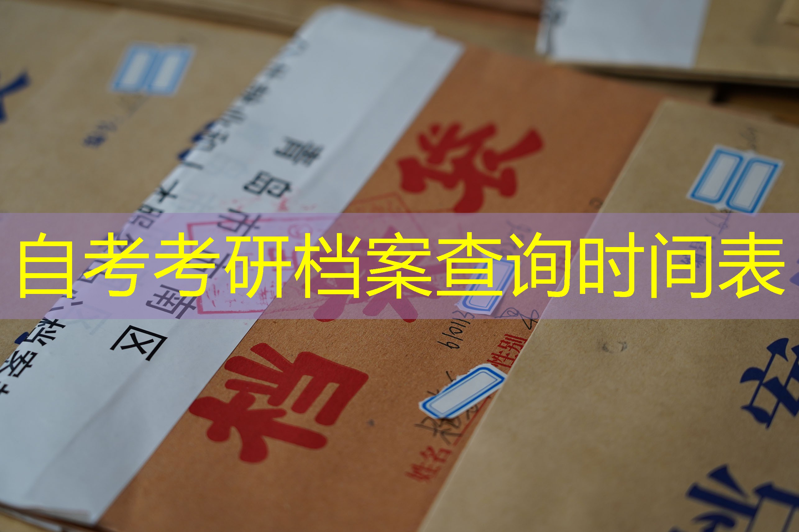档案查询