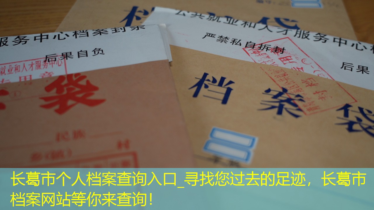 档案查询