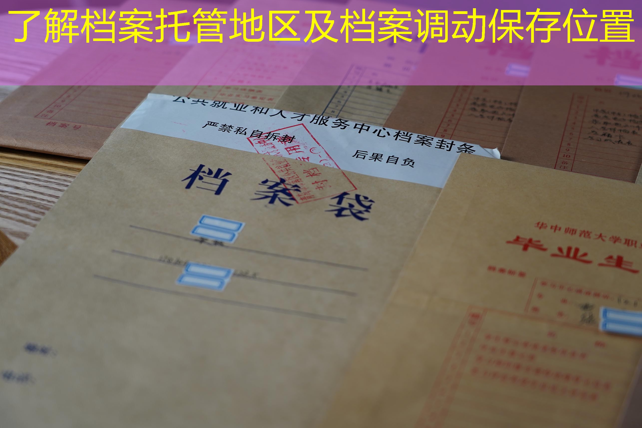 档案查询
