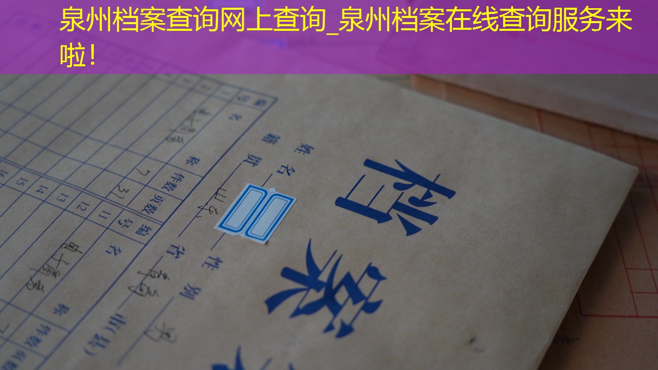 档案查询