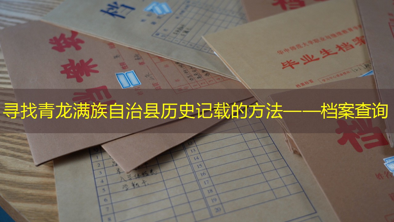 档案查询