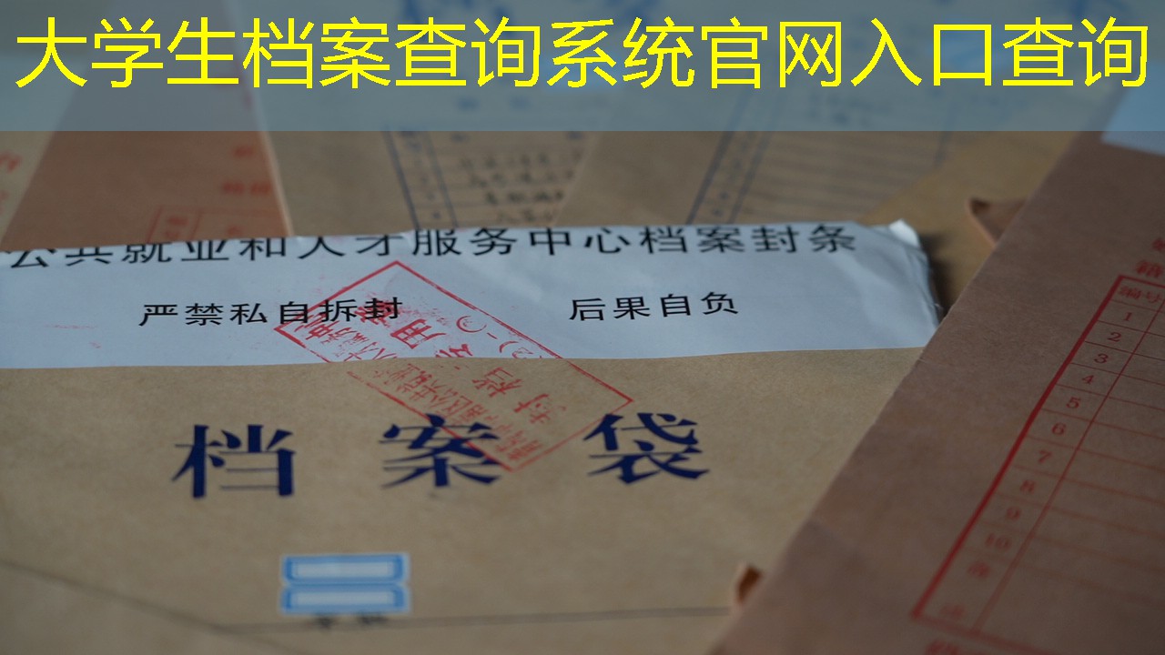 档案查询