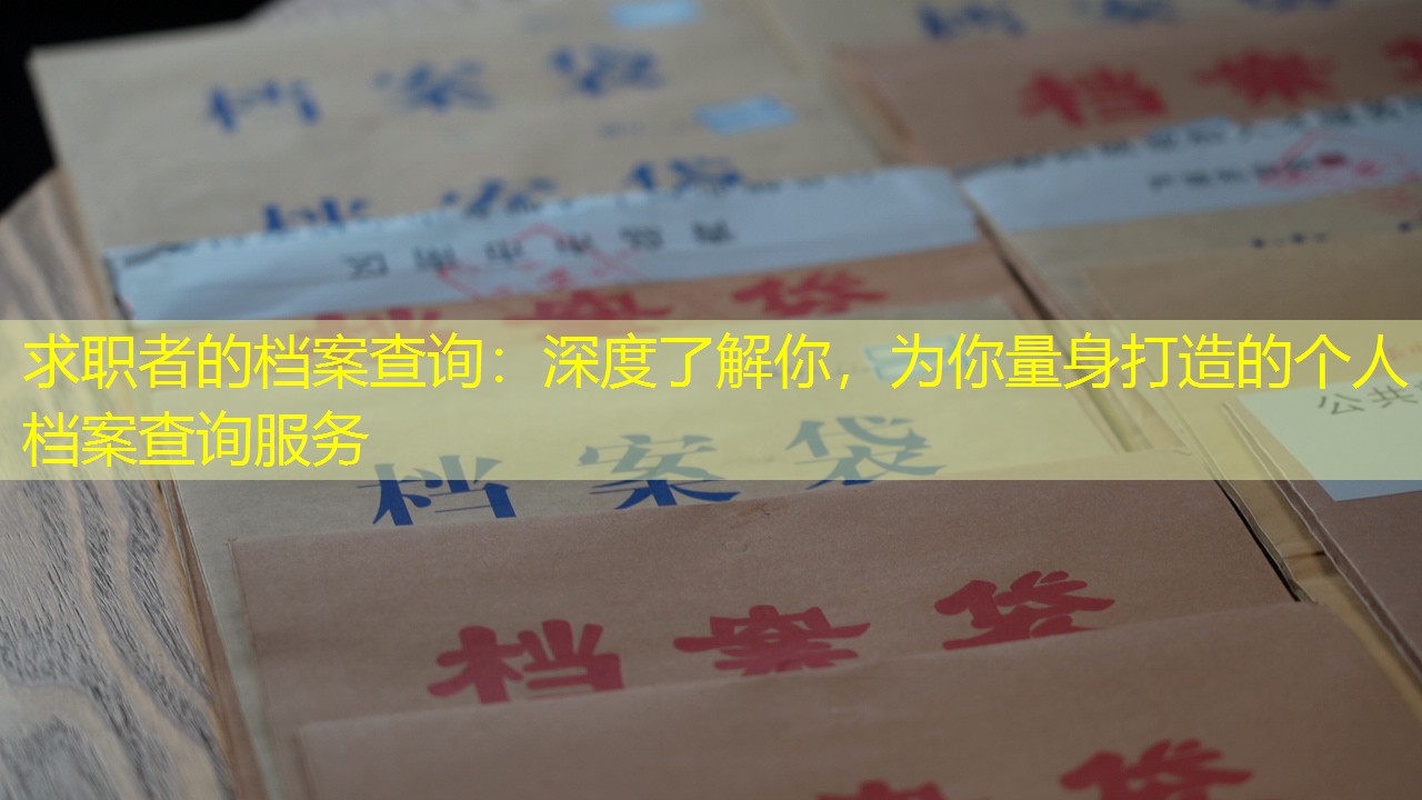 档案查询