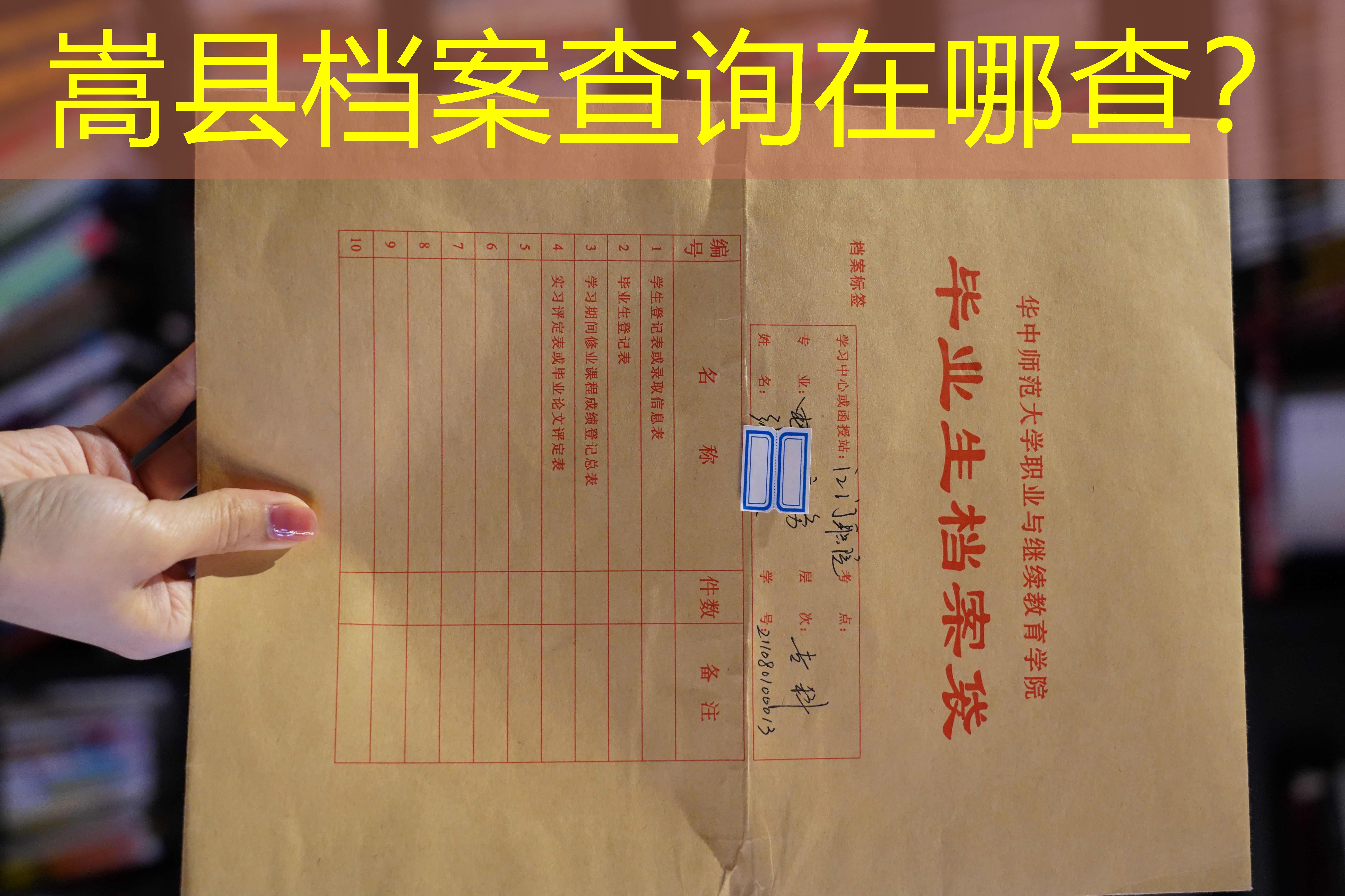 档案查询