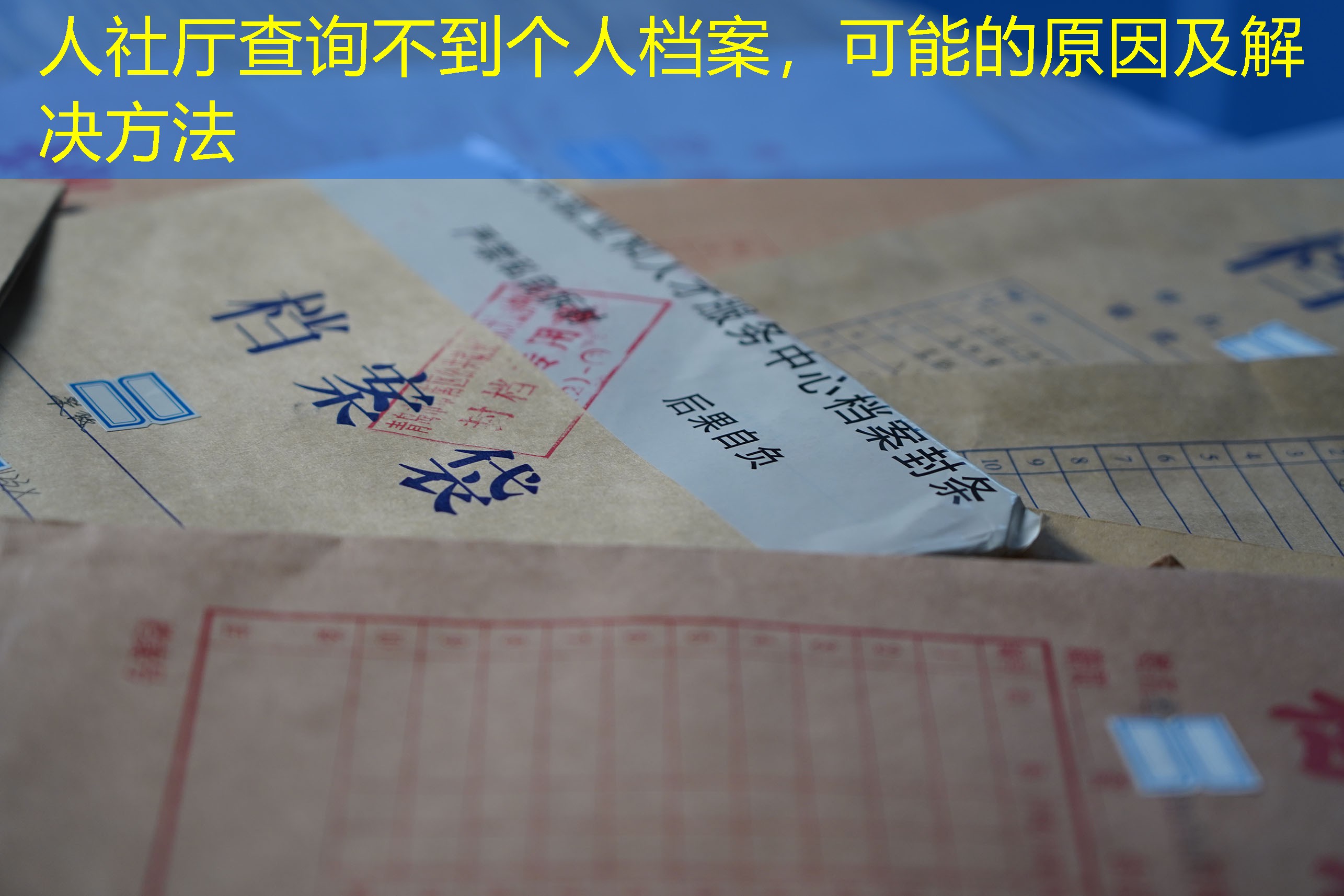 档案查询