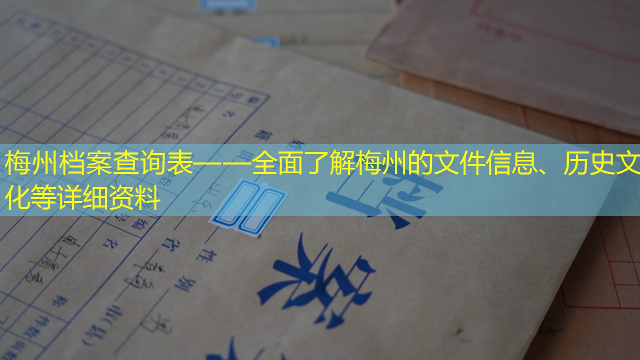 档案查询