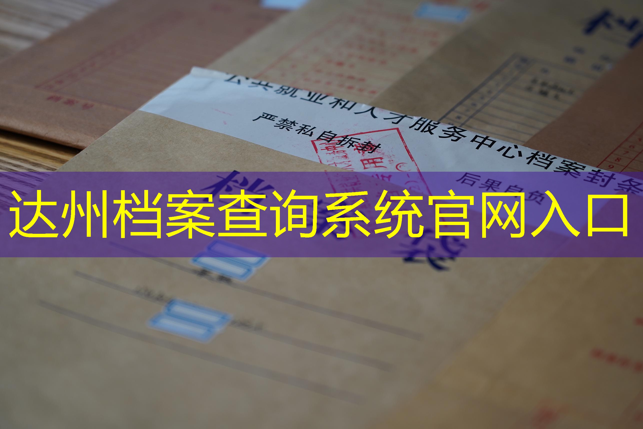 档案查询