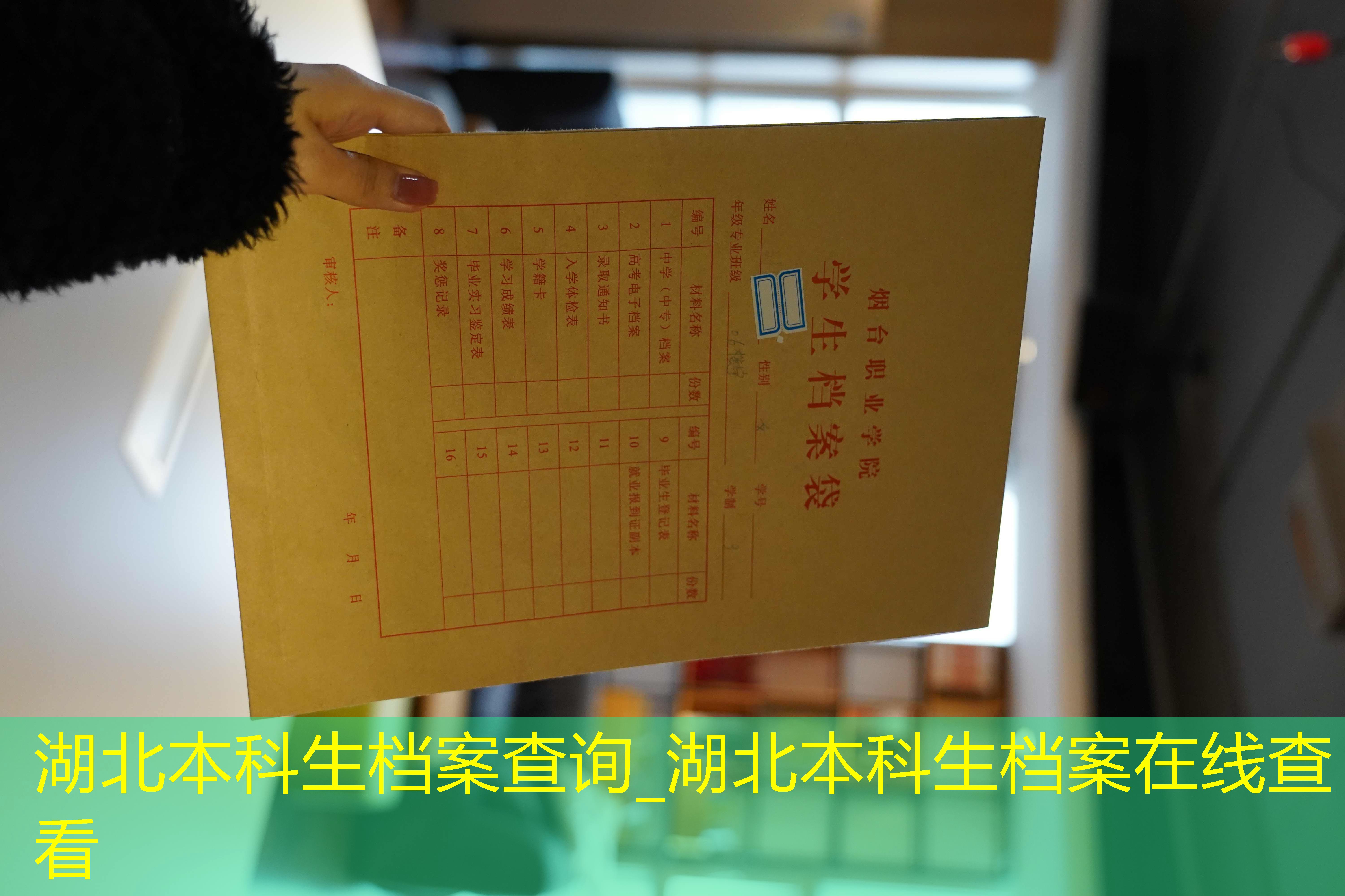 档案查询