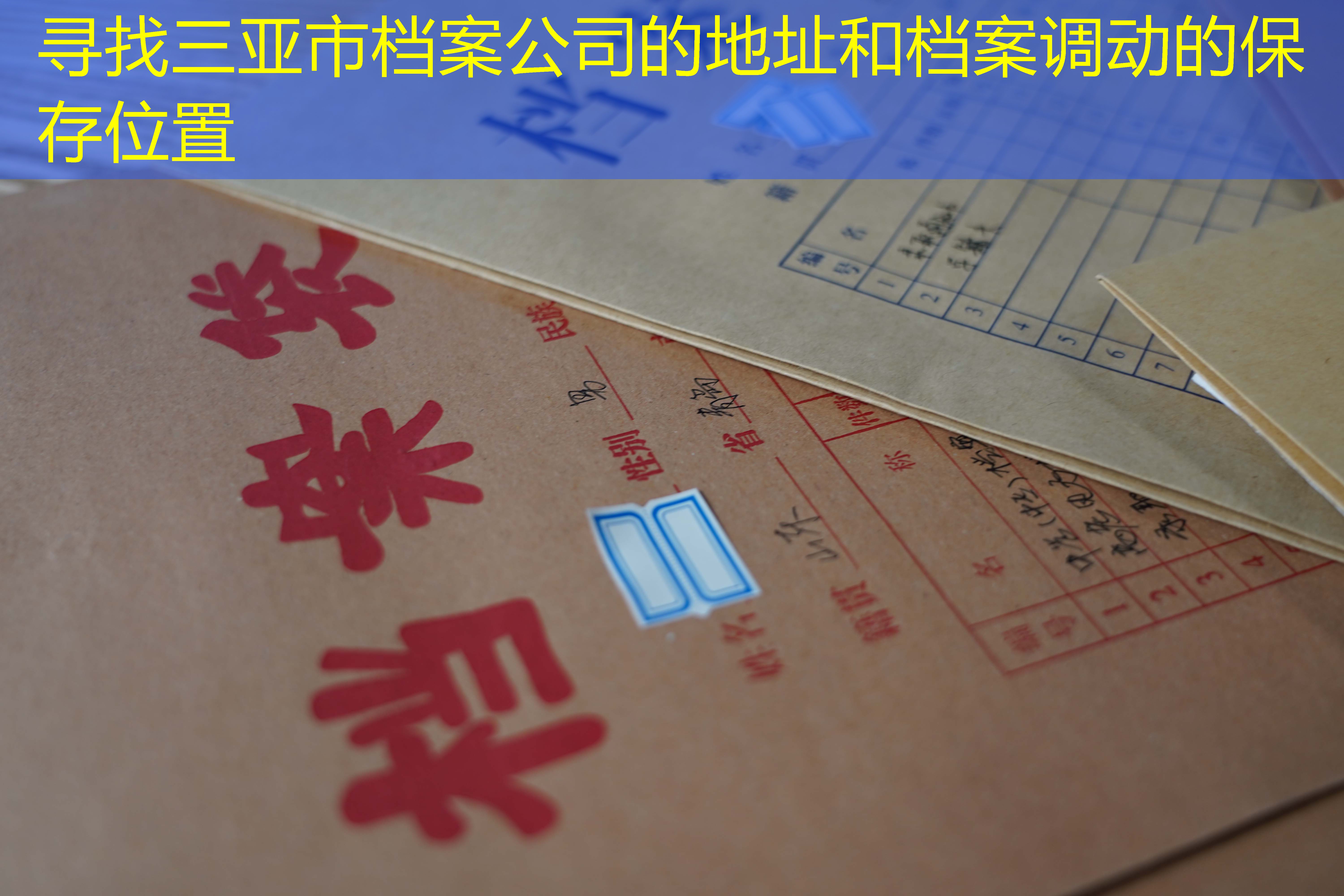 档案查询
