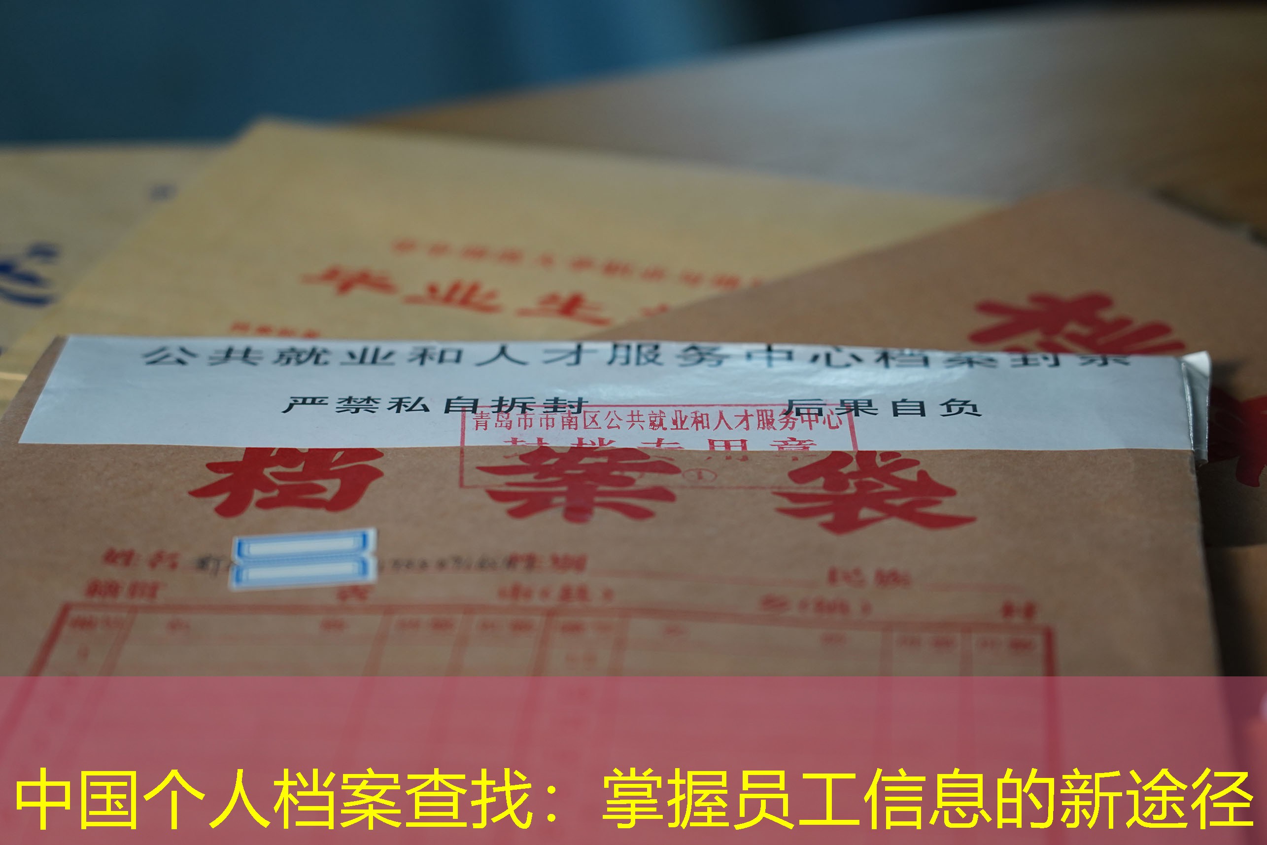 档案查询