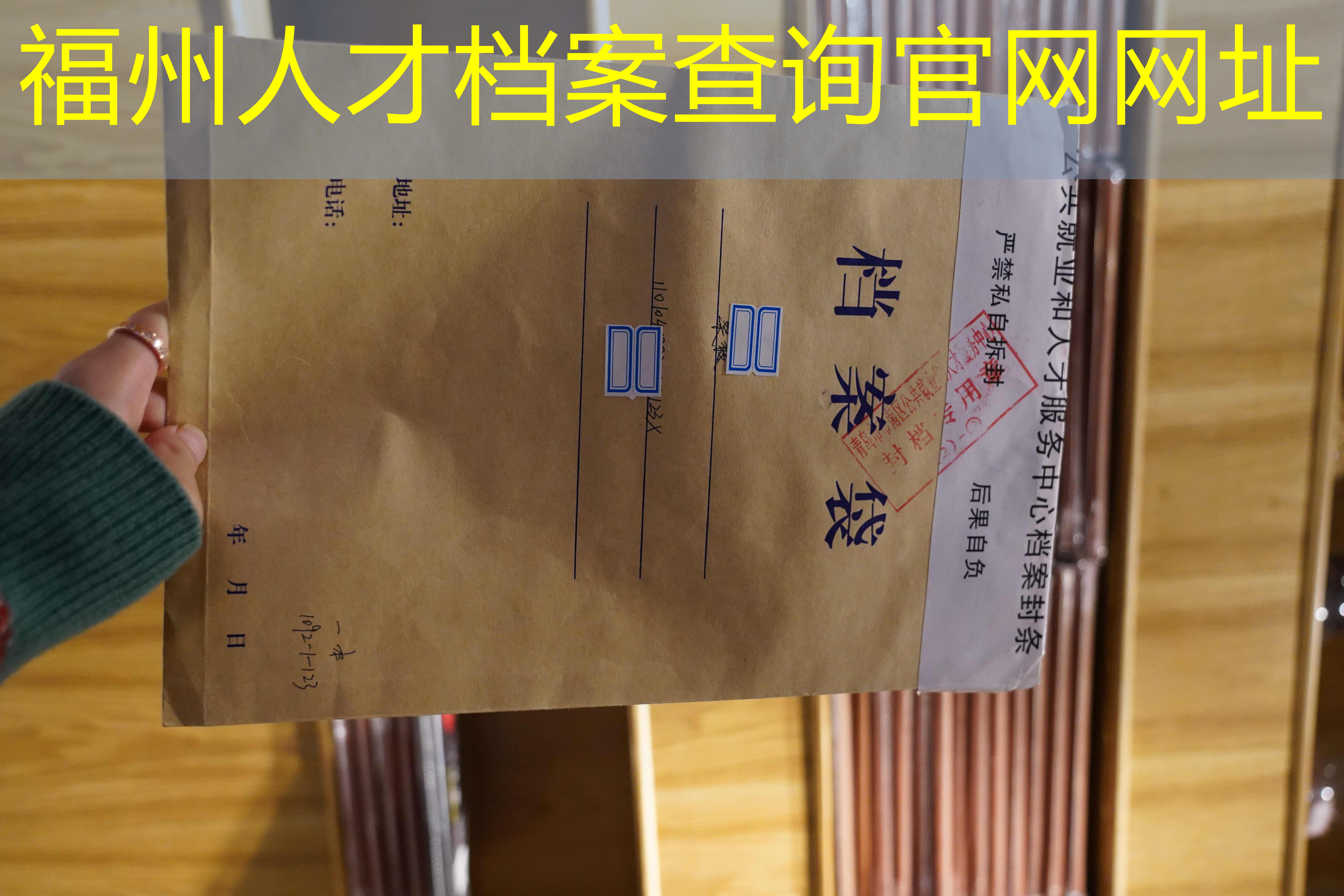 档案查询