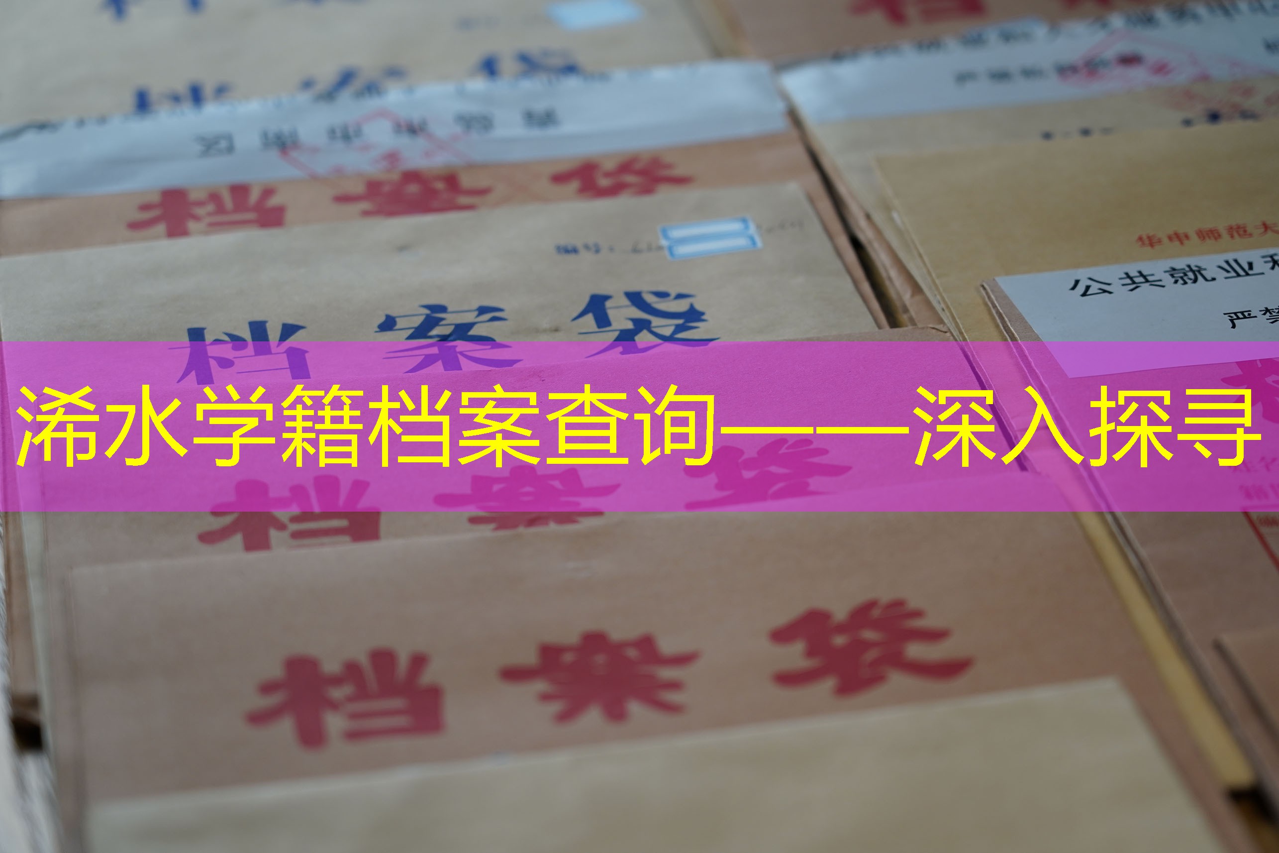 档案查询