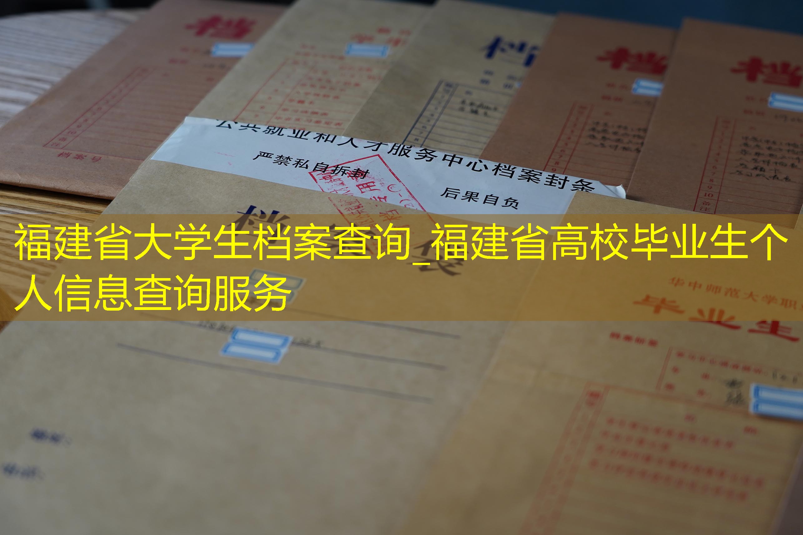 档案查询