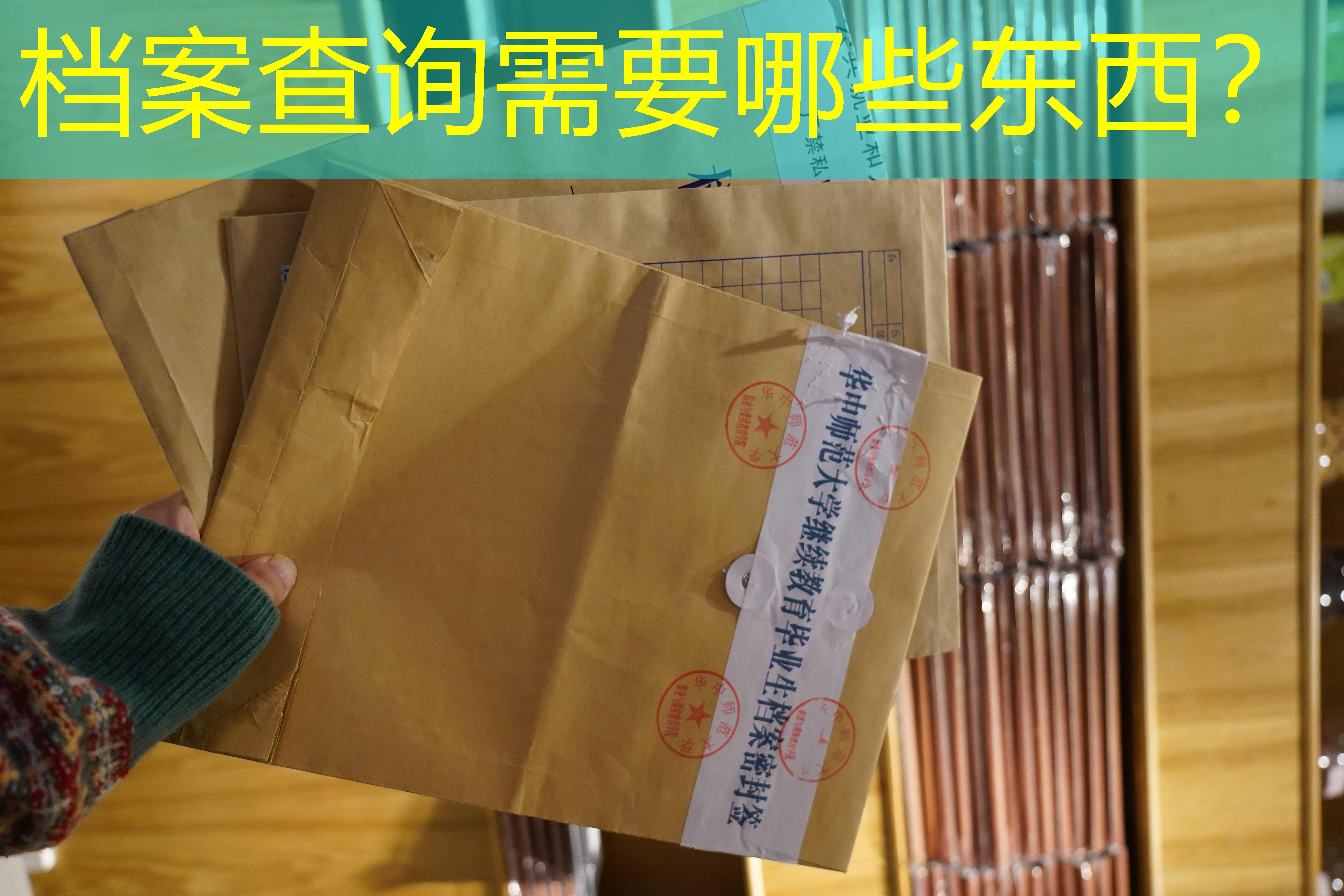 档案查询