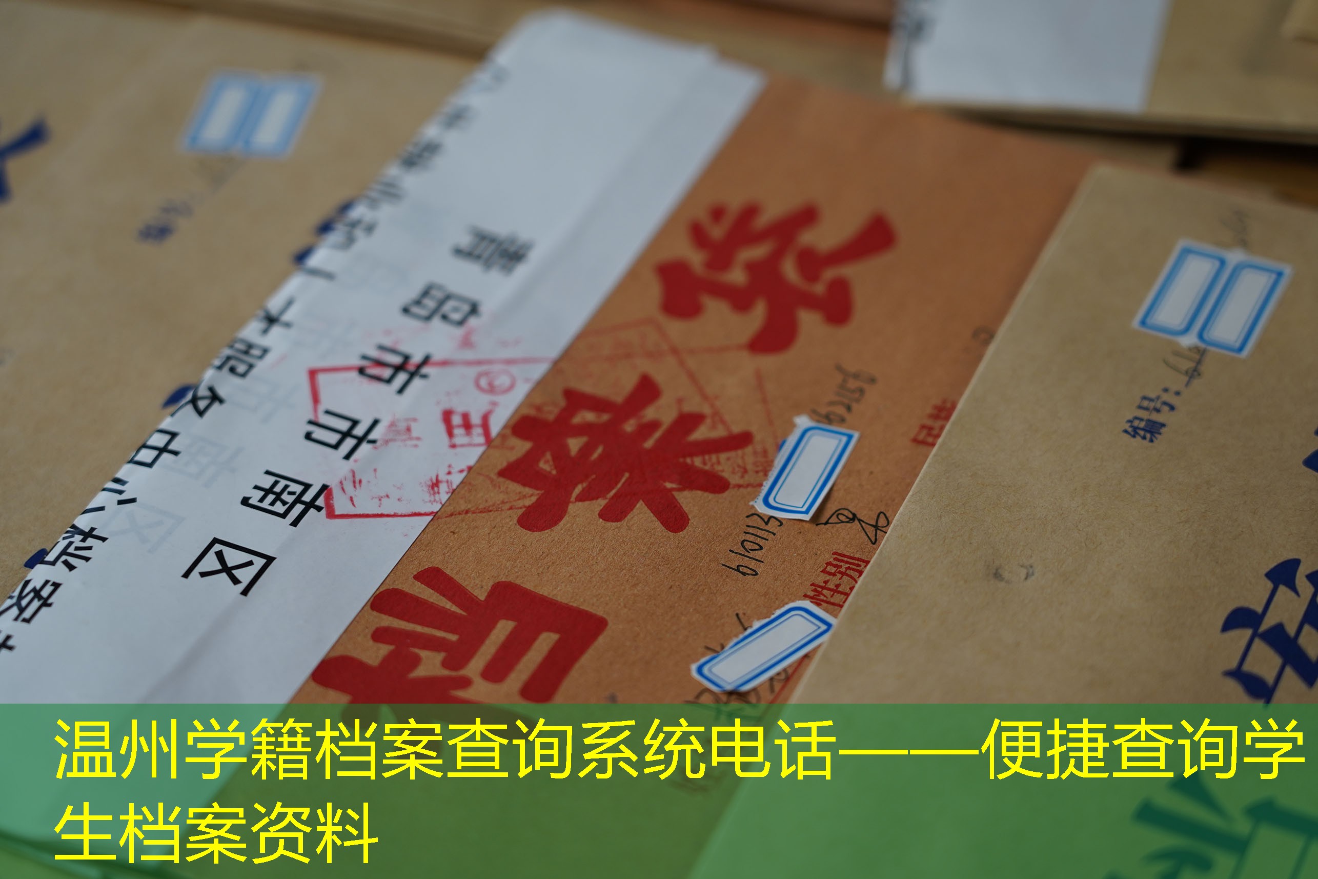 档案查询