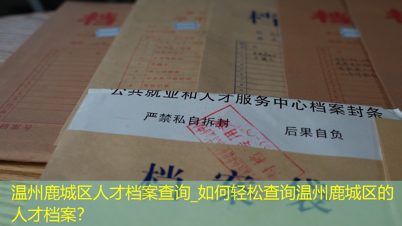 档案查询