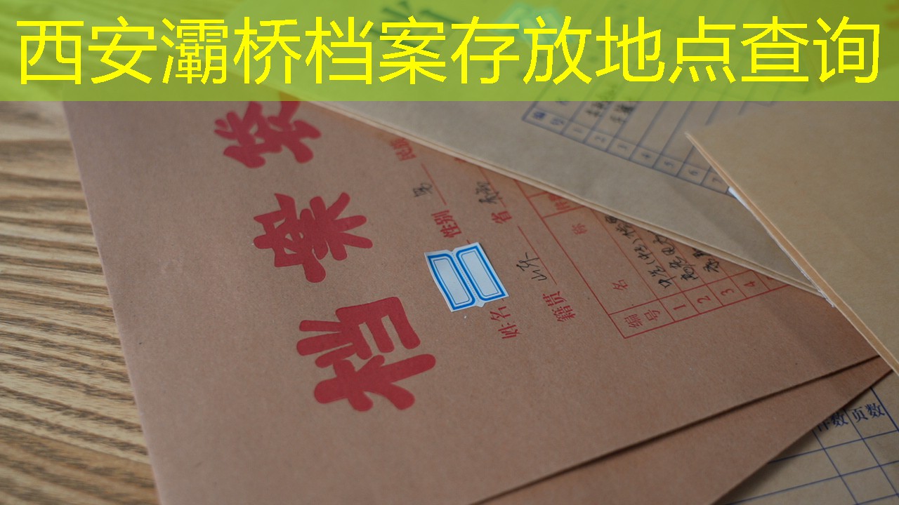 档案查询