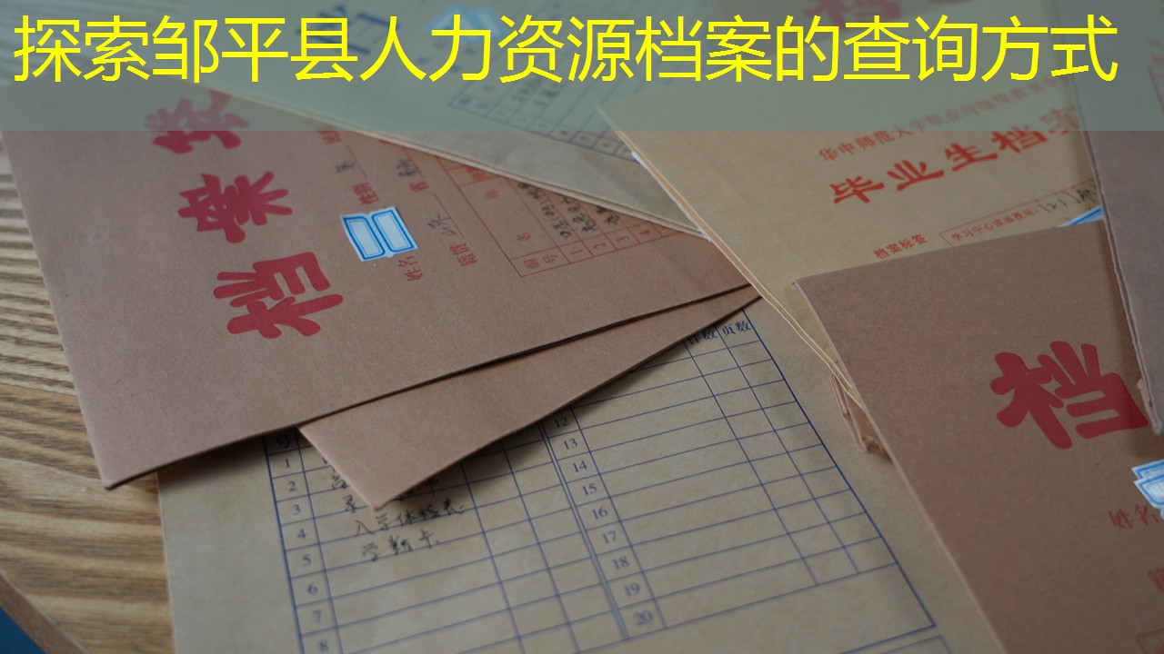 档案查询
