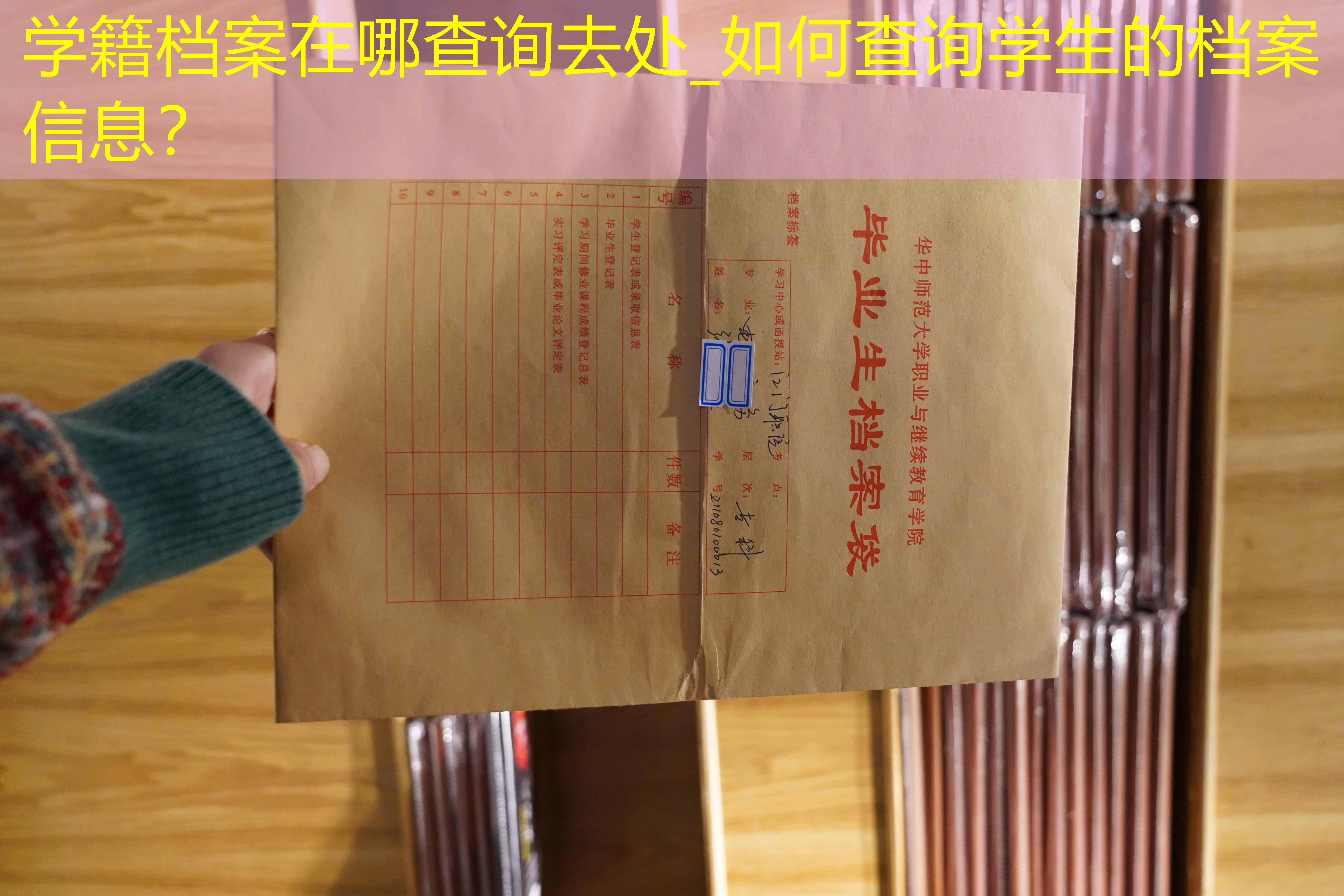 档案查询