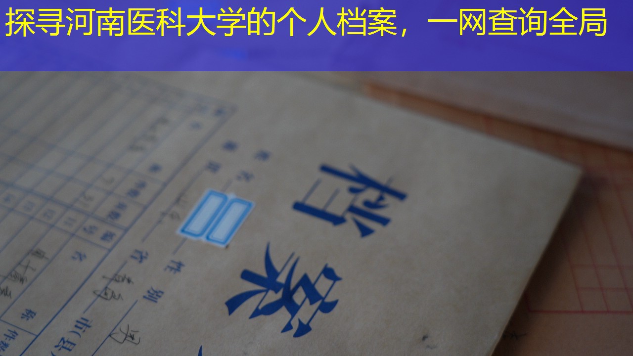 档案查询