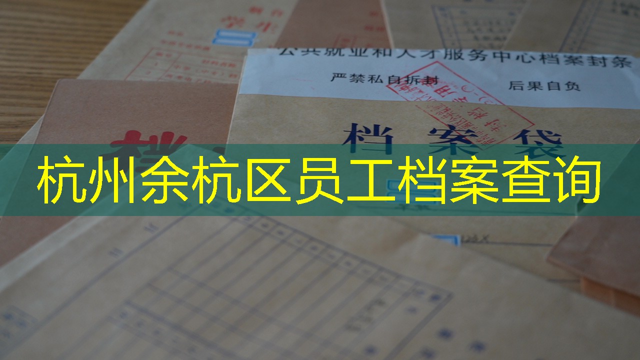 档案查询