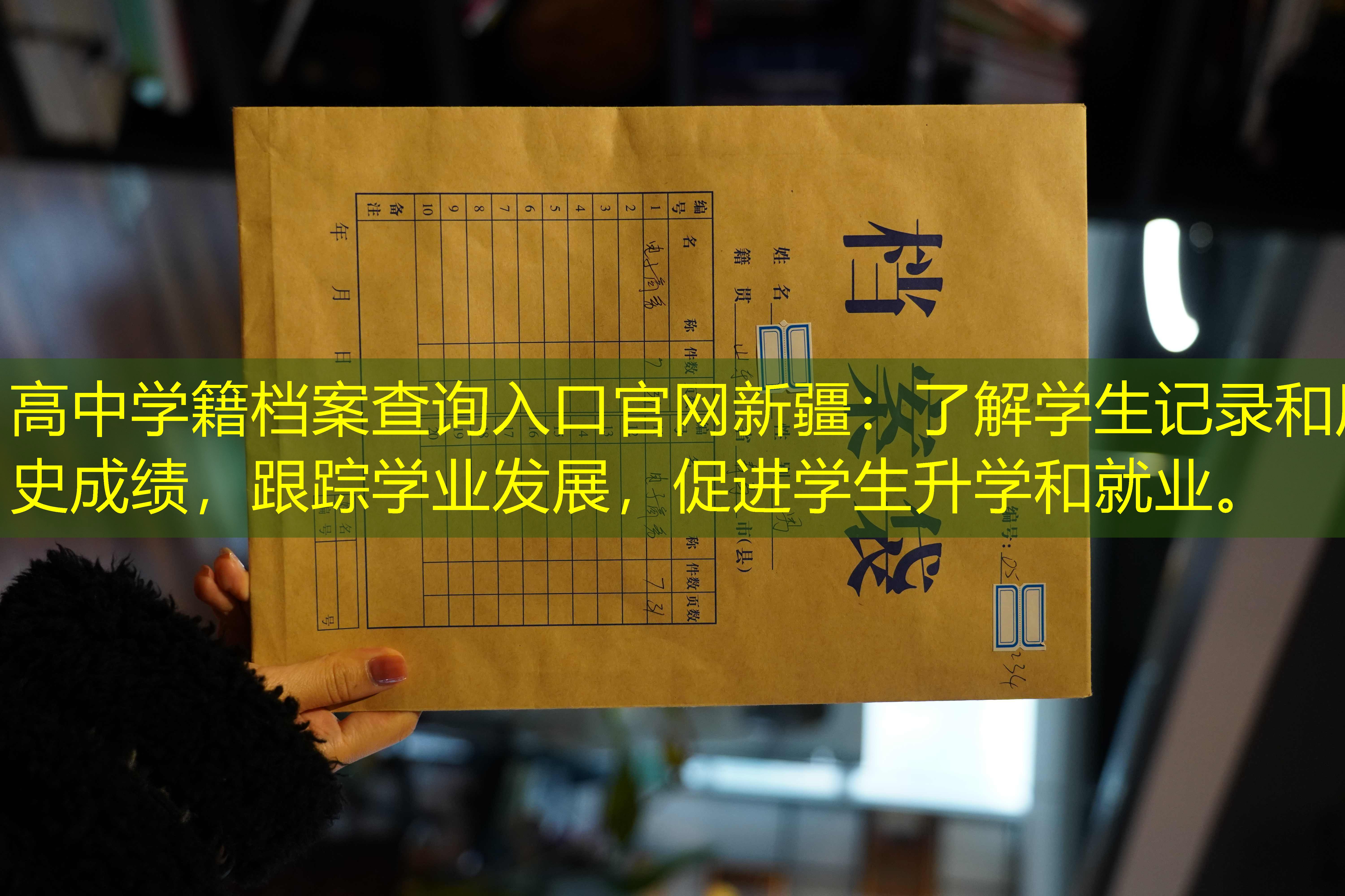 档案查询