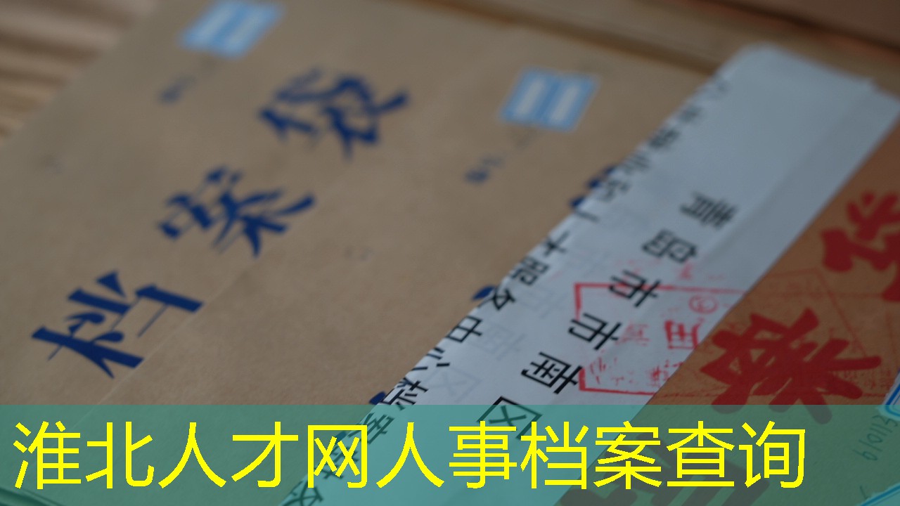 档案查询