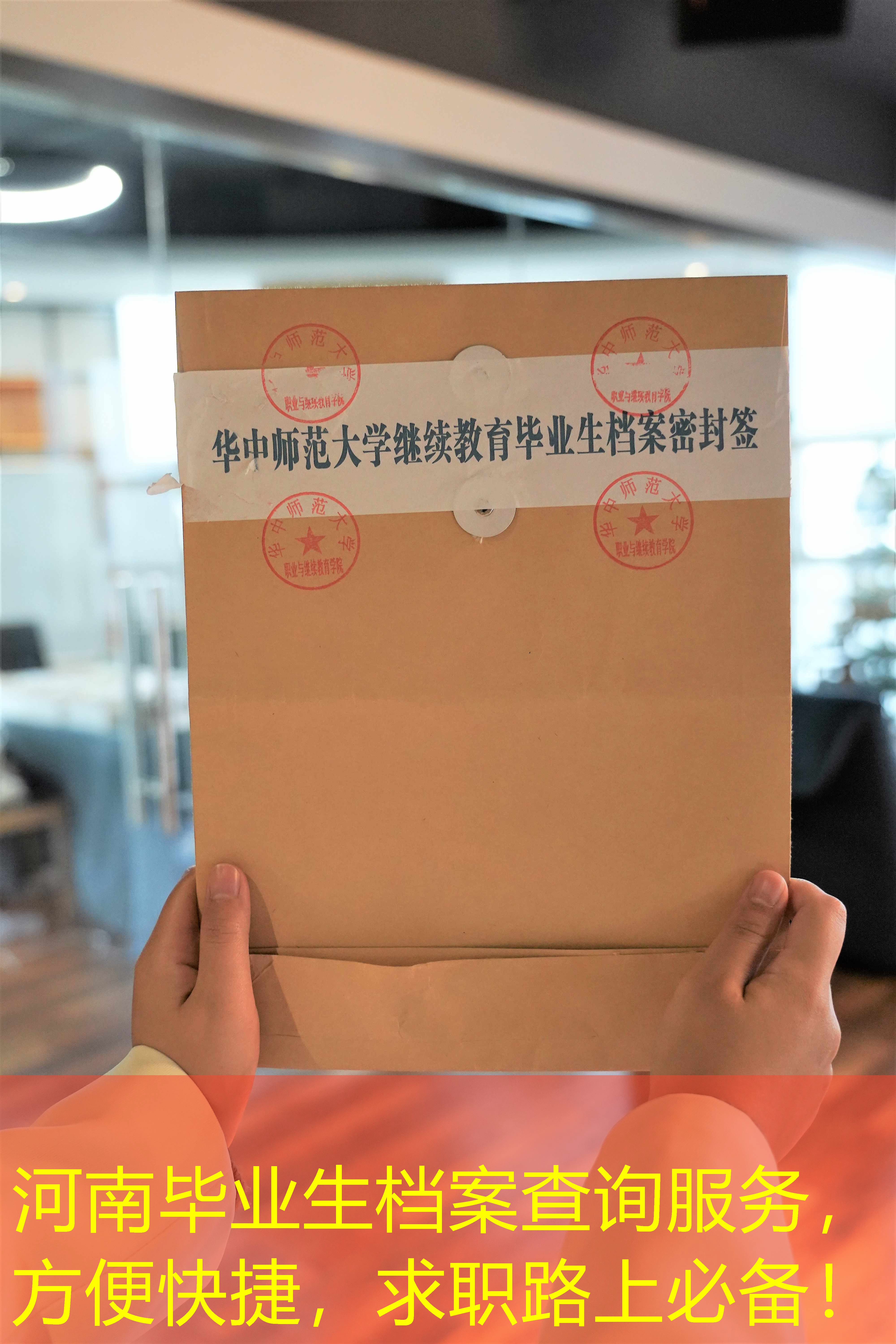 档案查询