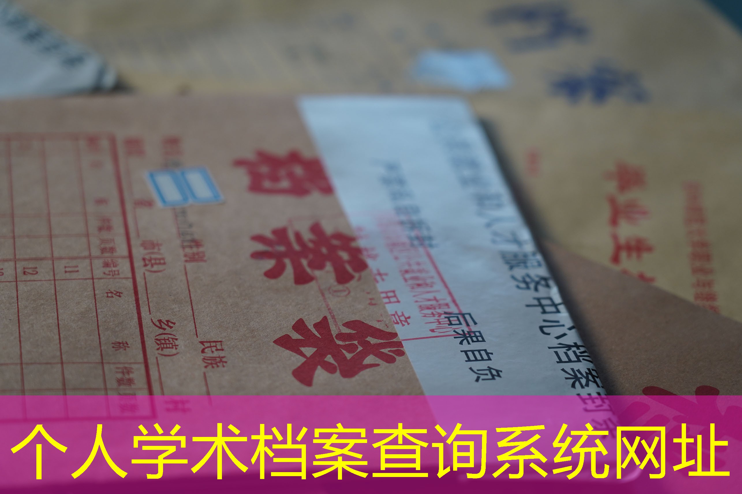 档案查询