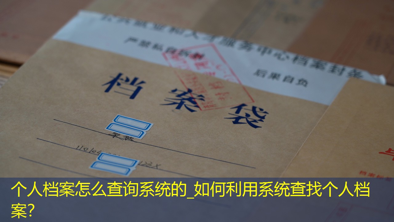档案查询