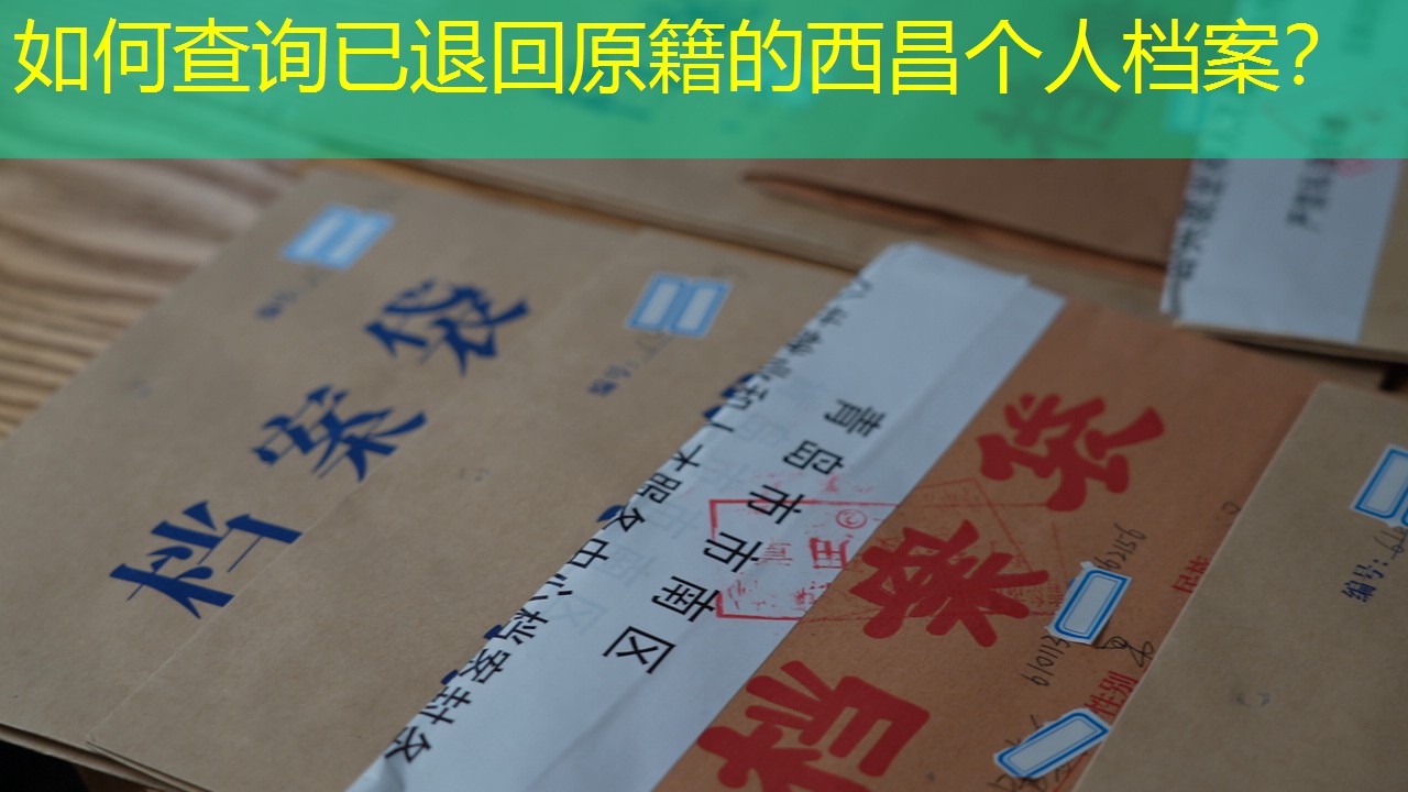 档案查询