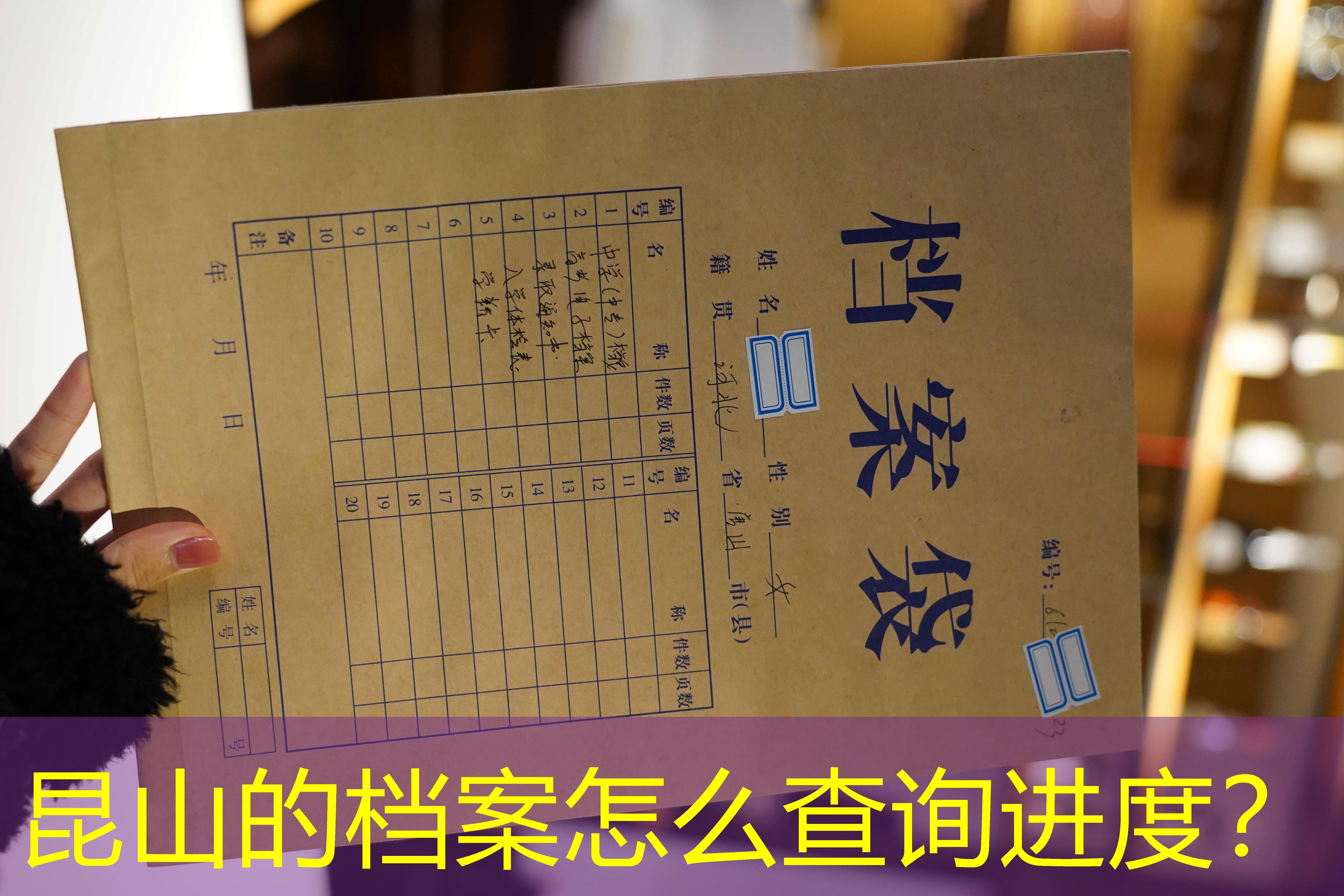 档案查询