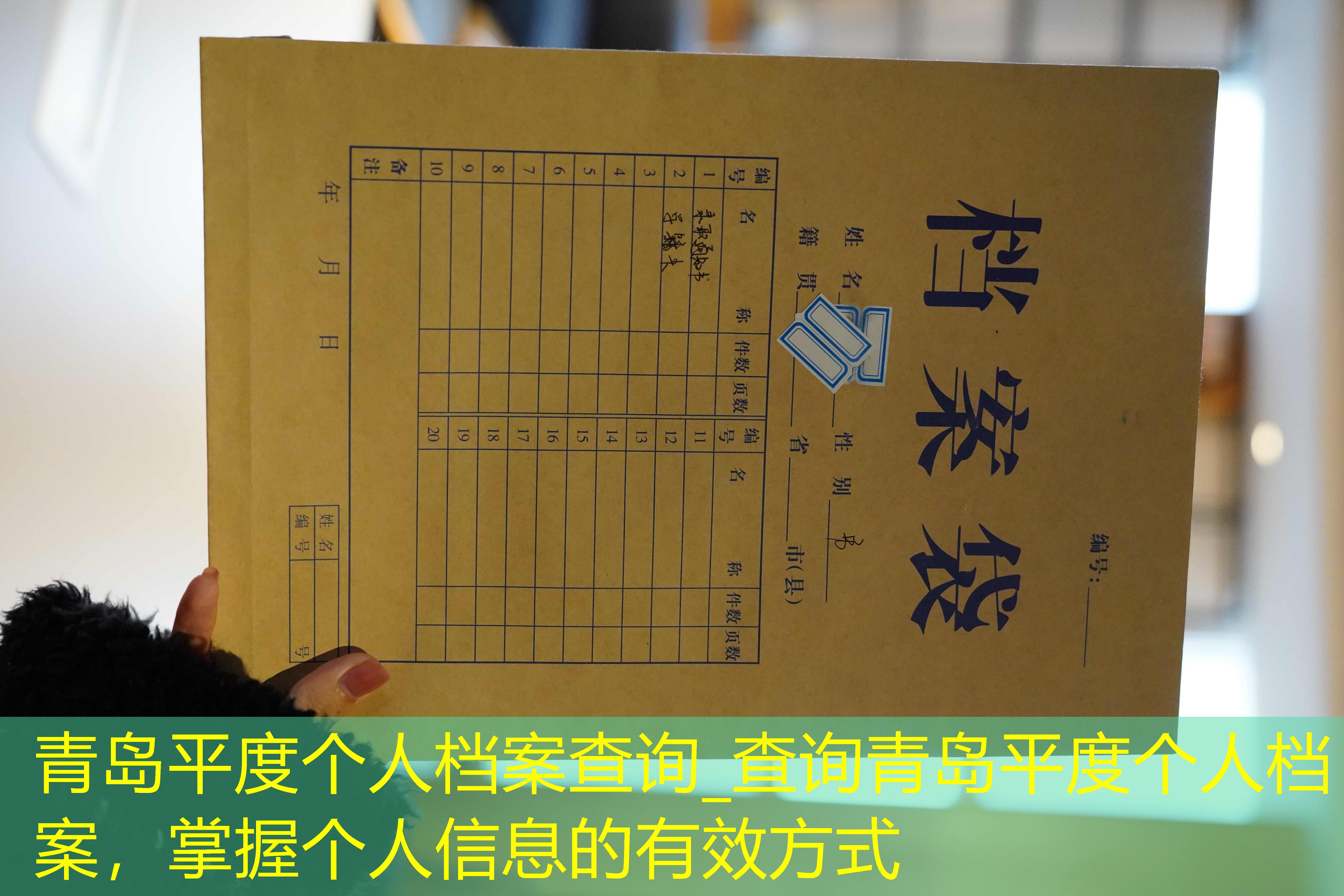 档案查询