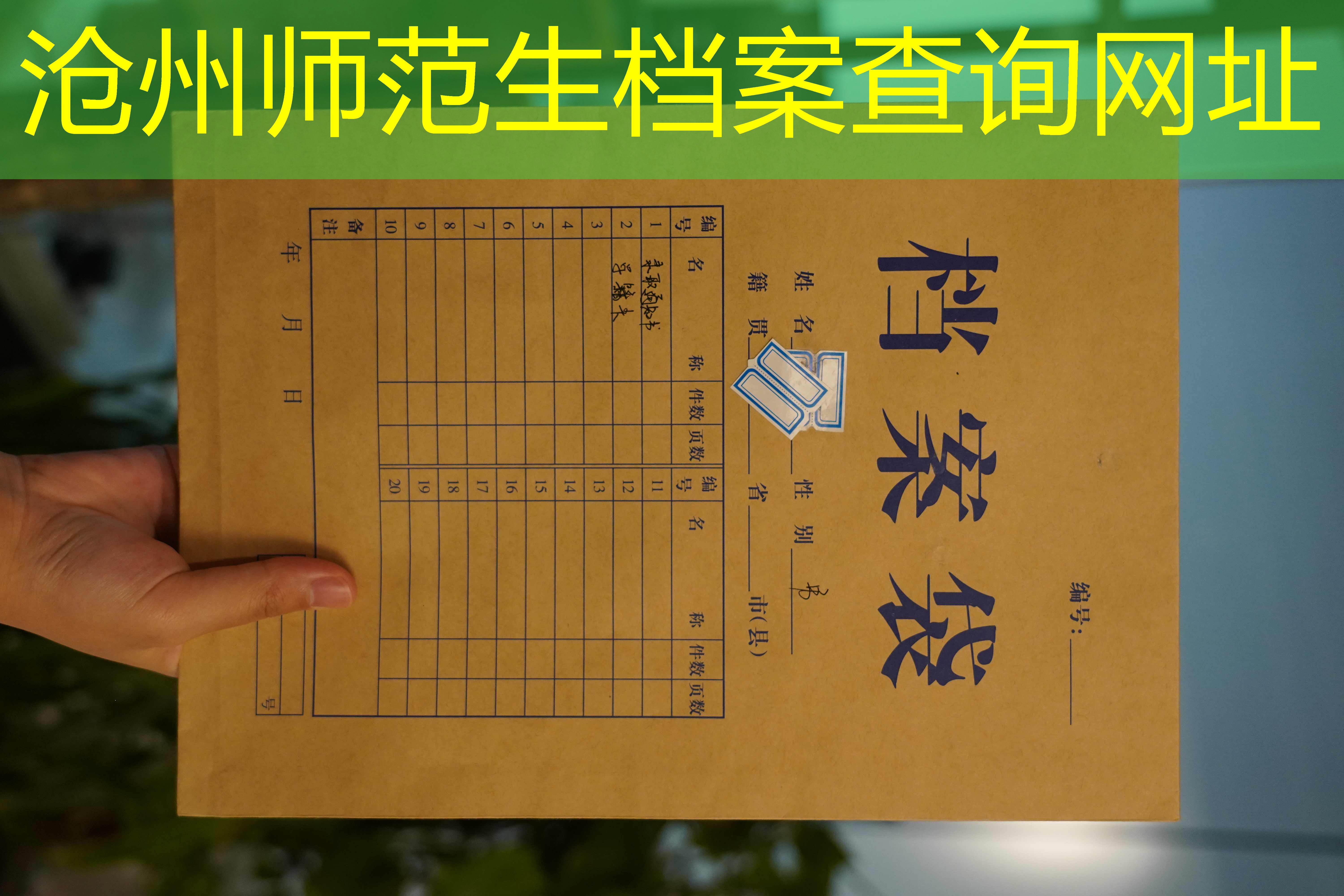 档案查询