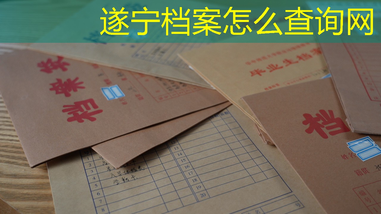 档案查询