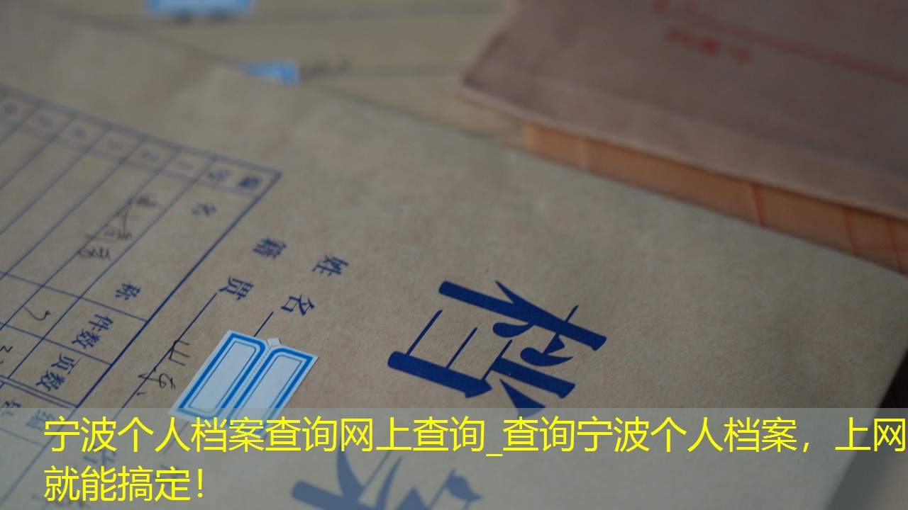 档案查询