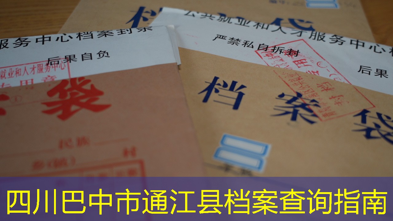 档案查询