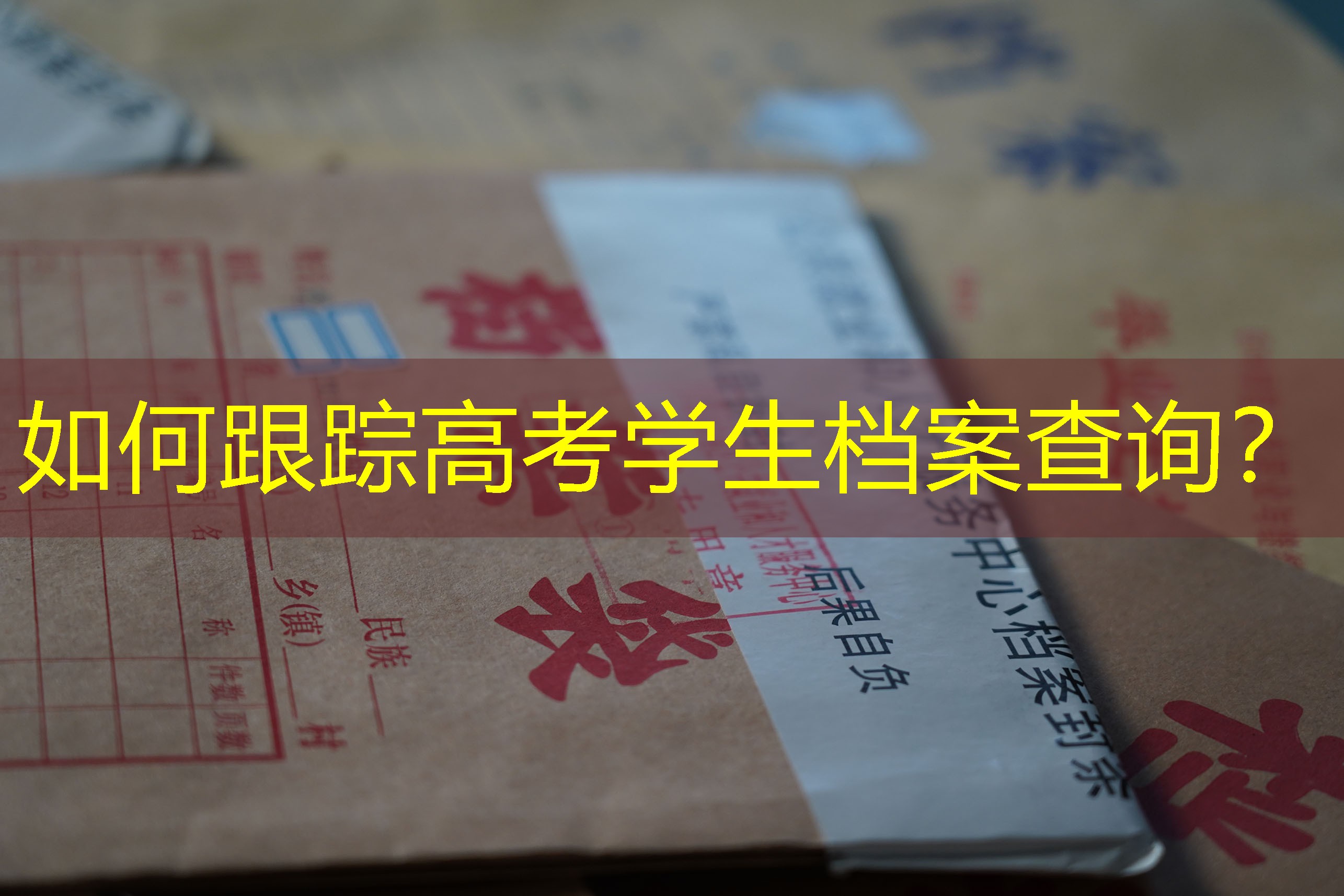 档案查询
