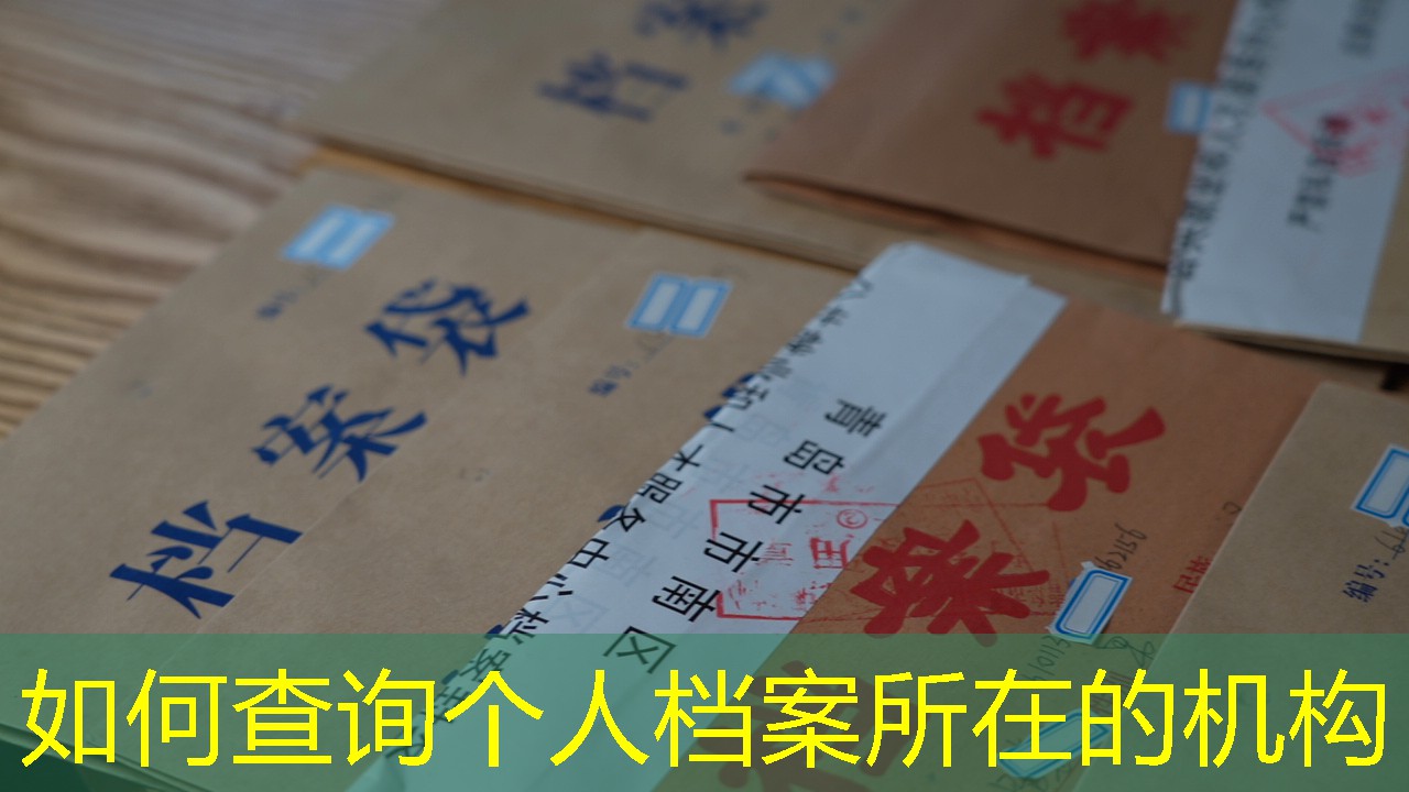 档案查询