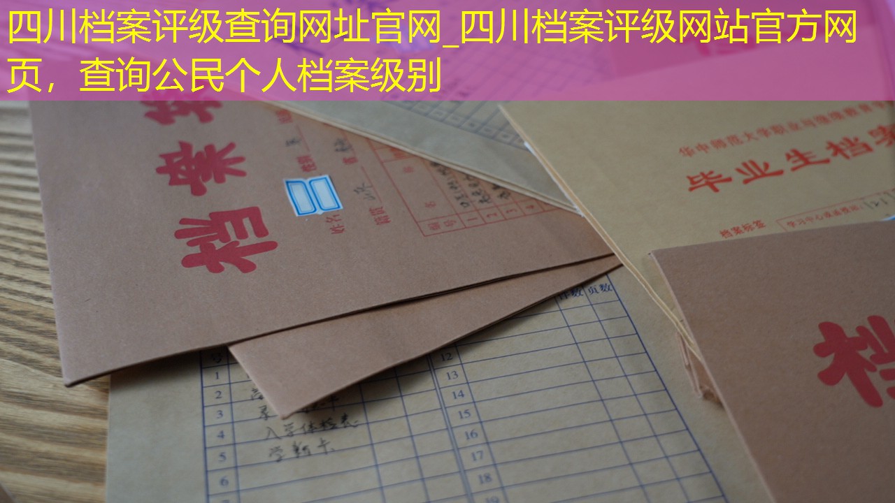 档案查询