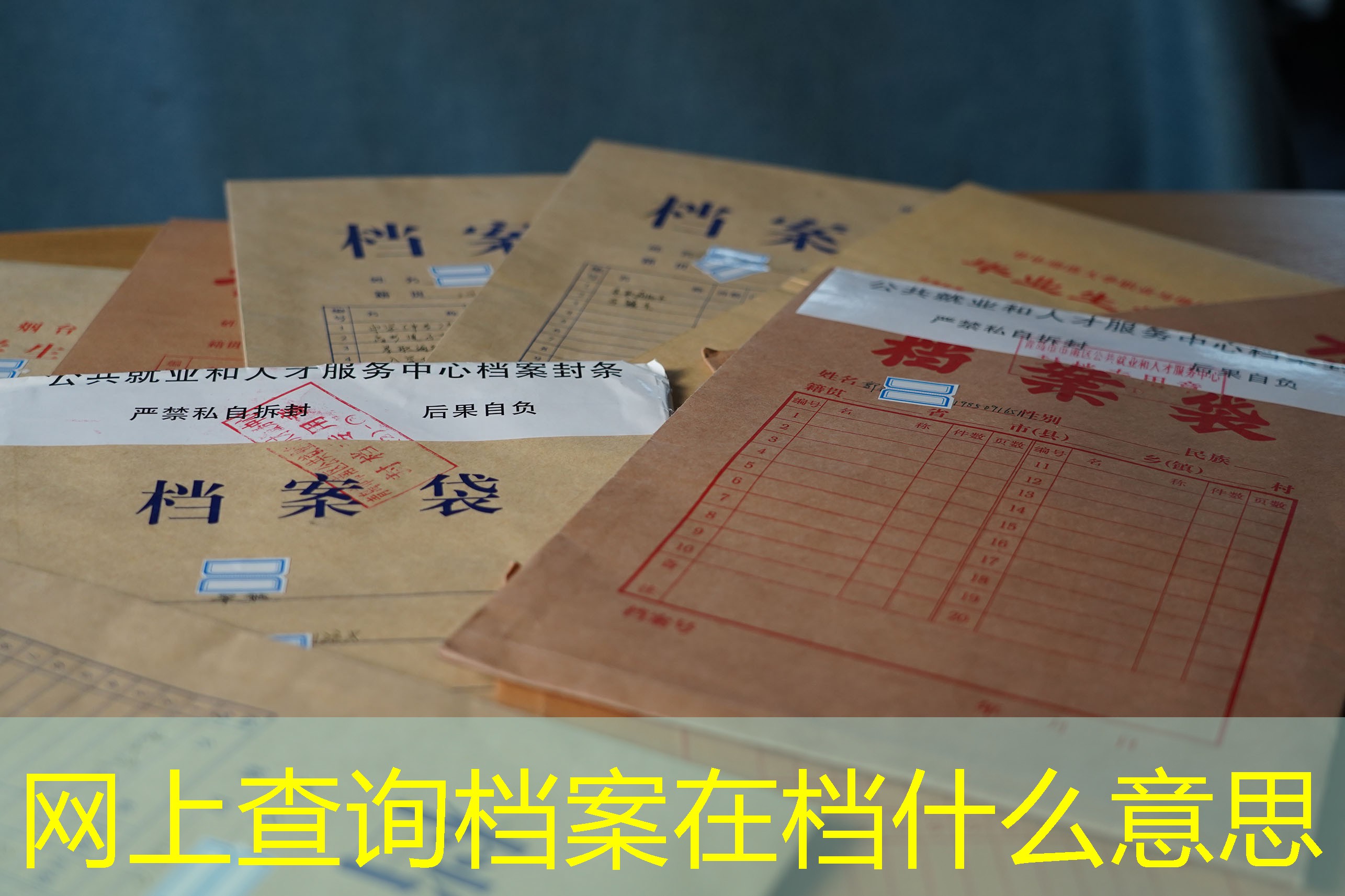 档案查询