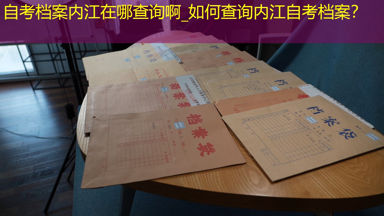 档案查询