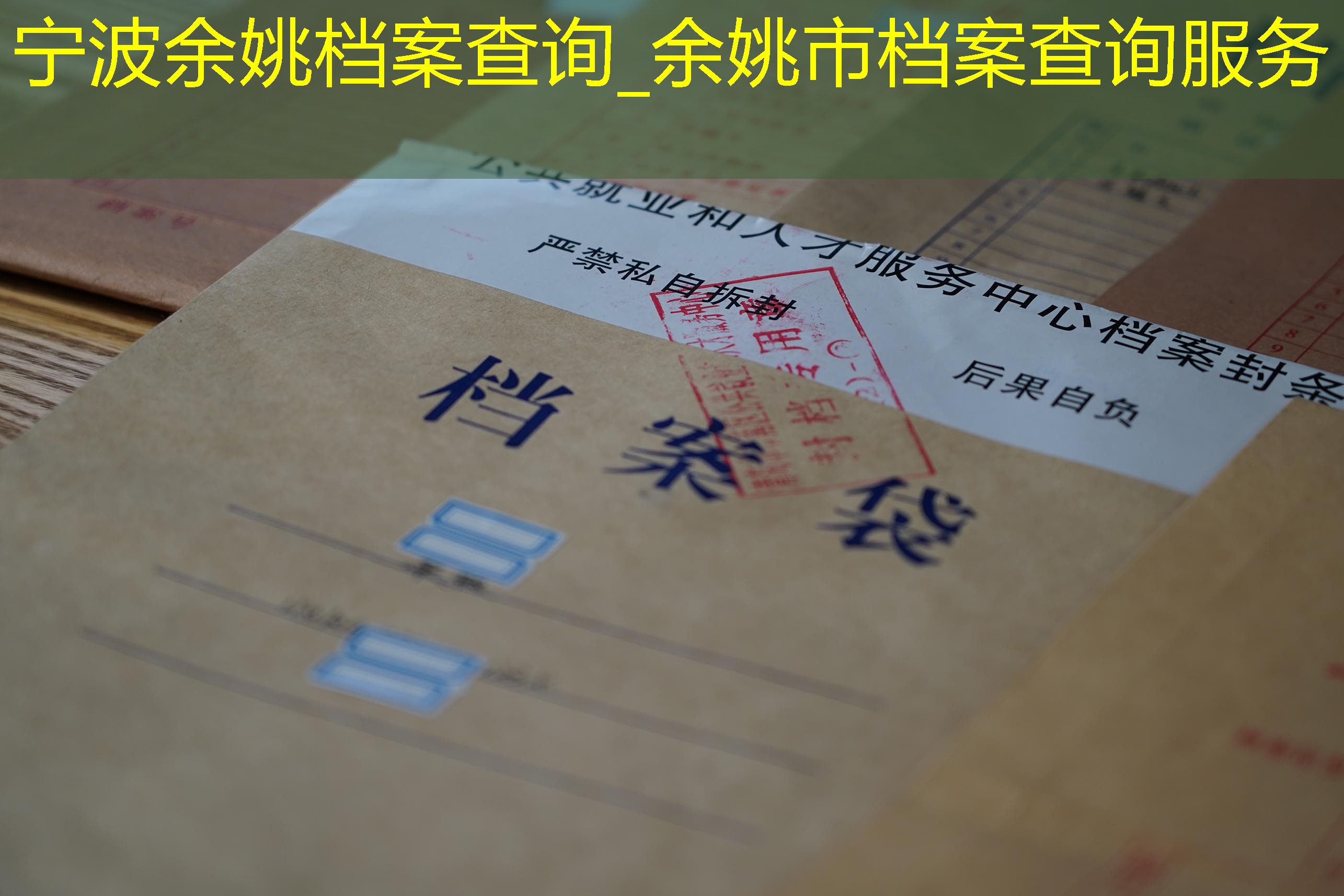 档案查询