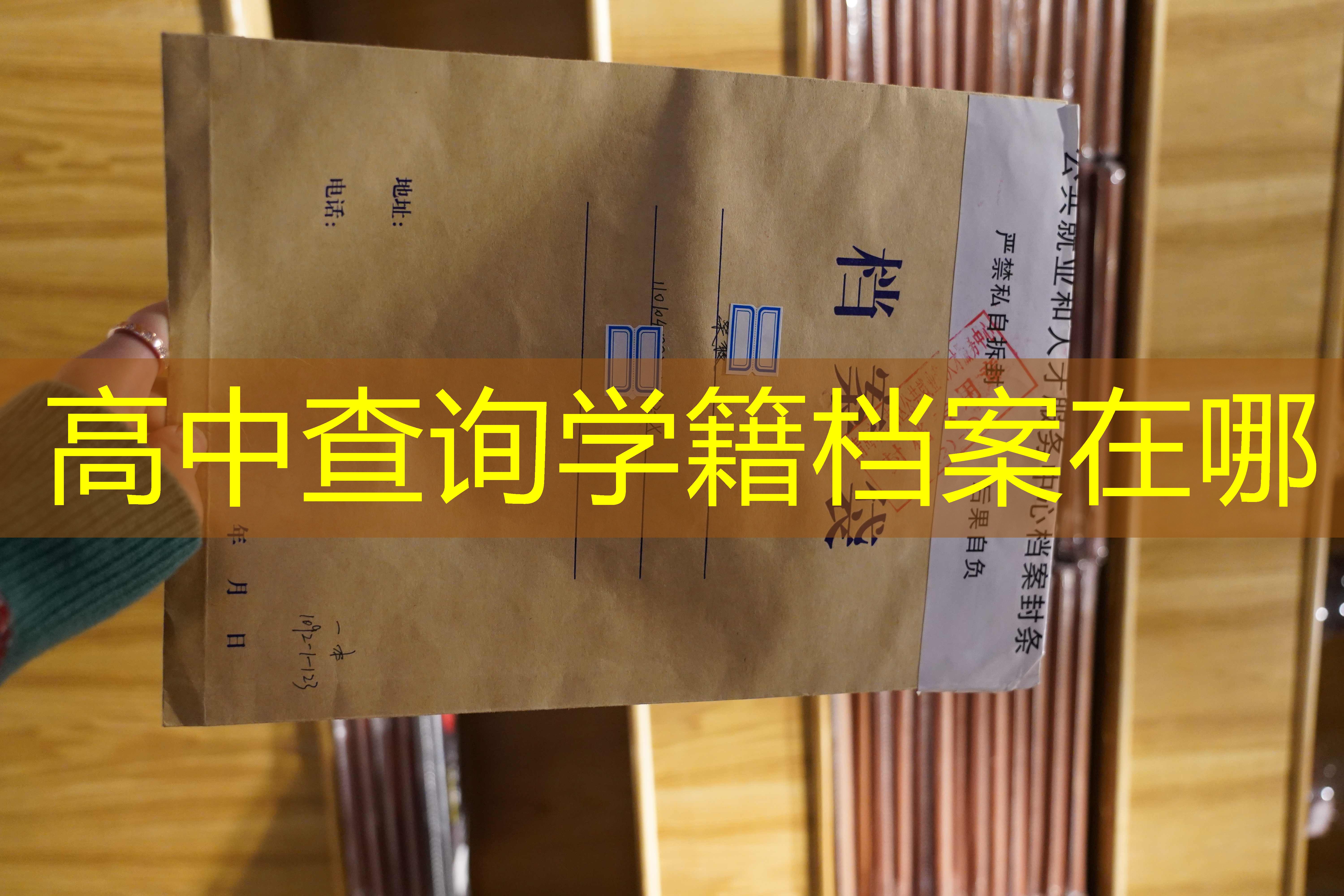 档案查询