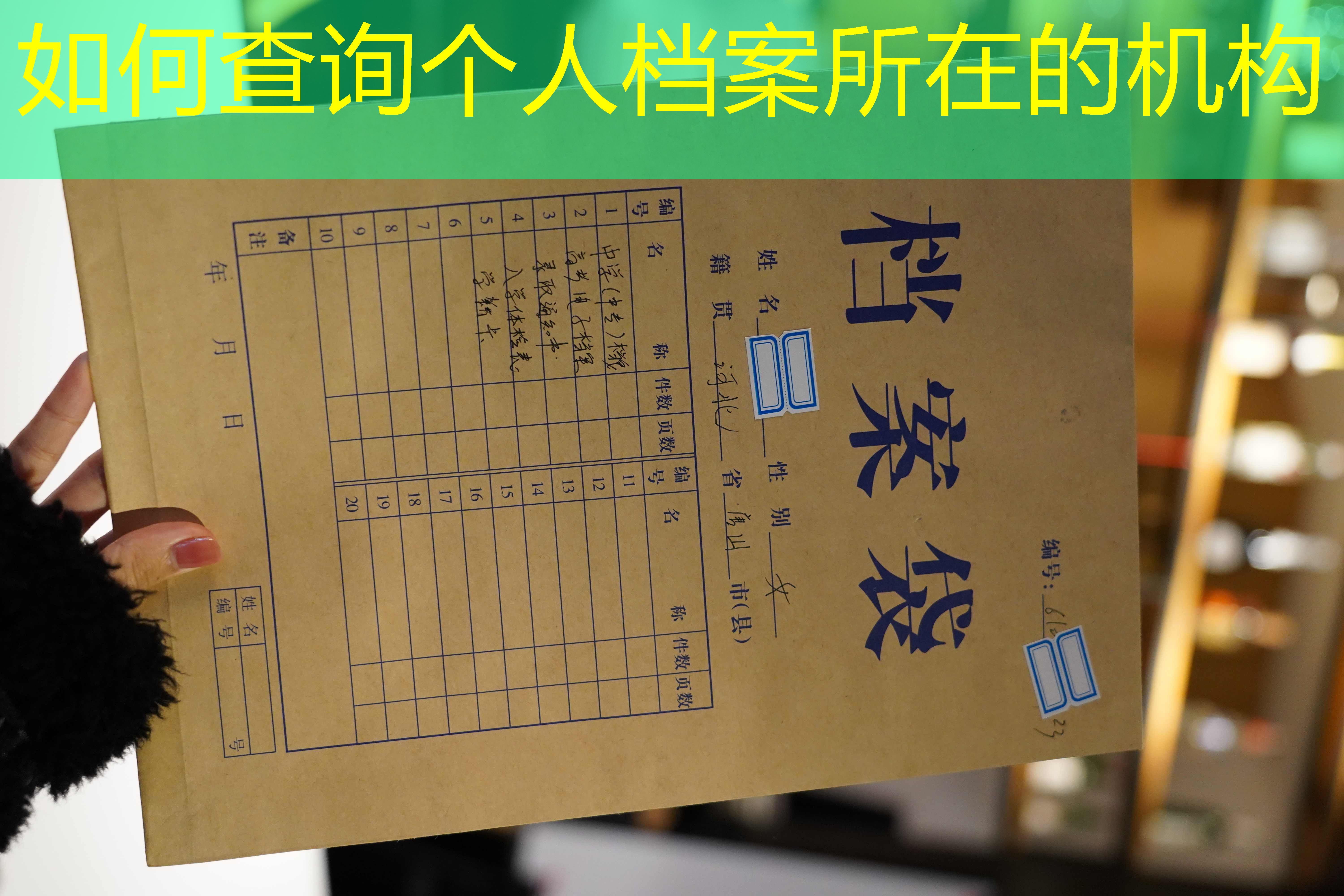 档案查询