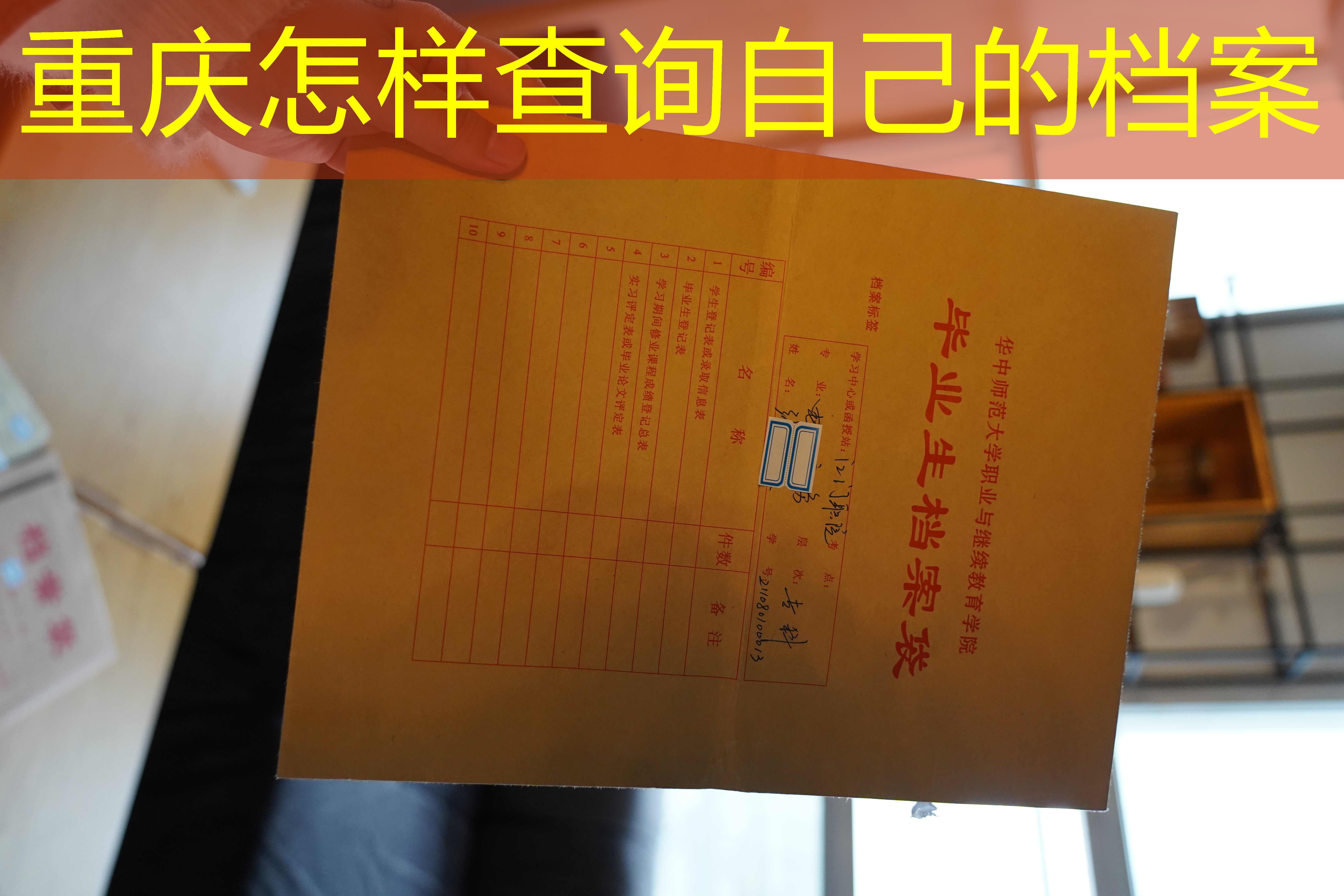 档案查询